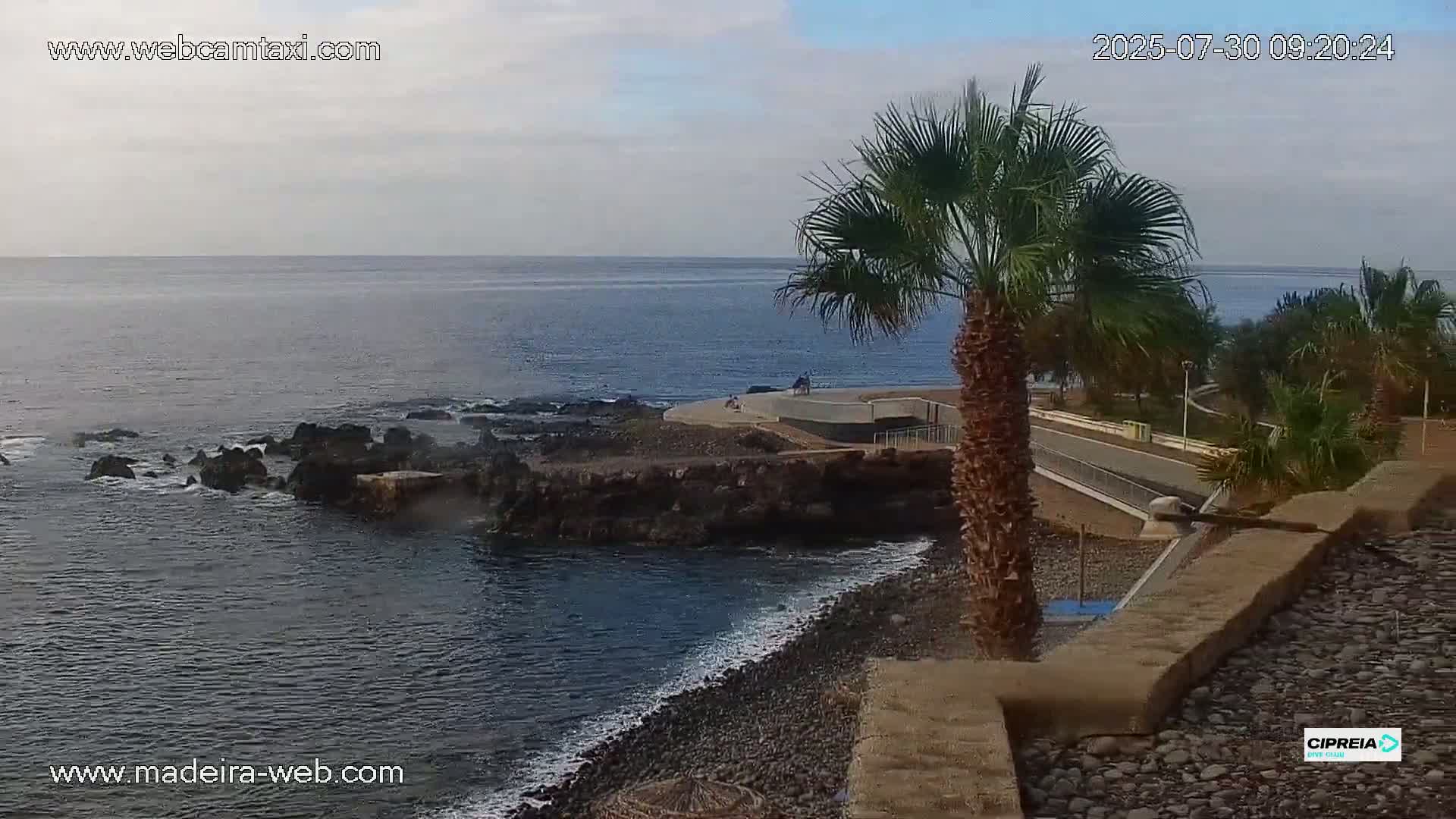 A rocky shoreline meets a calm ocean under a mostly cloudy sky, with a palm tree and paved walkway visible in the foreground.