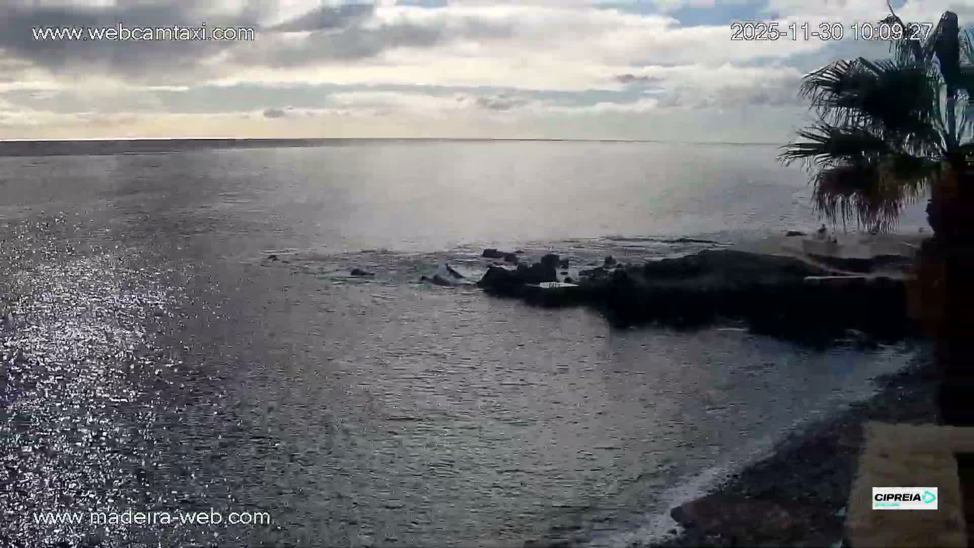 An expansive view of the ocean shows sparkling water with small waves breaking against a rocky coastline and a partially visible palm tree on the right, all under a partly cloudy sky.