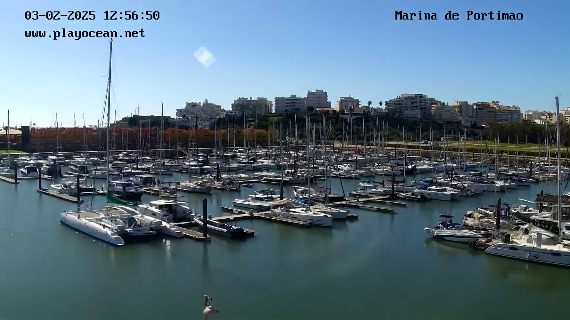A marina filled with numerous sailboats and motorboats is situated under a clear blue sky on a sunny day.