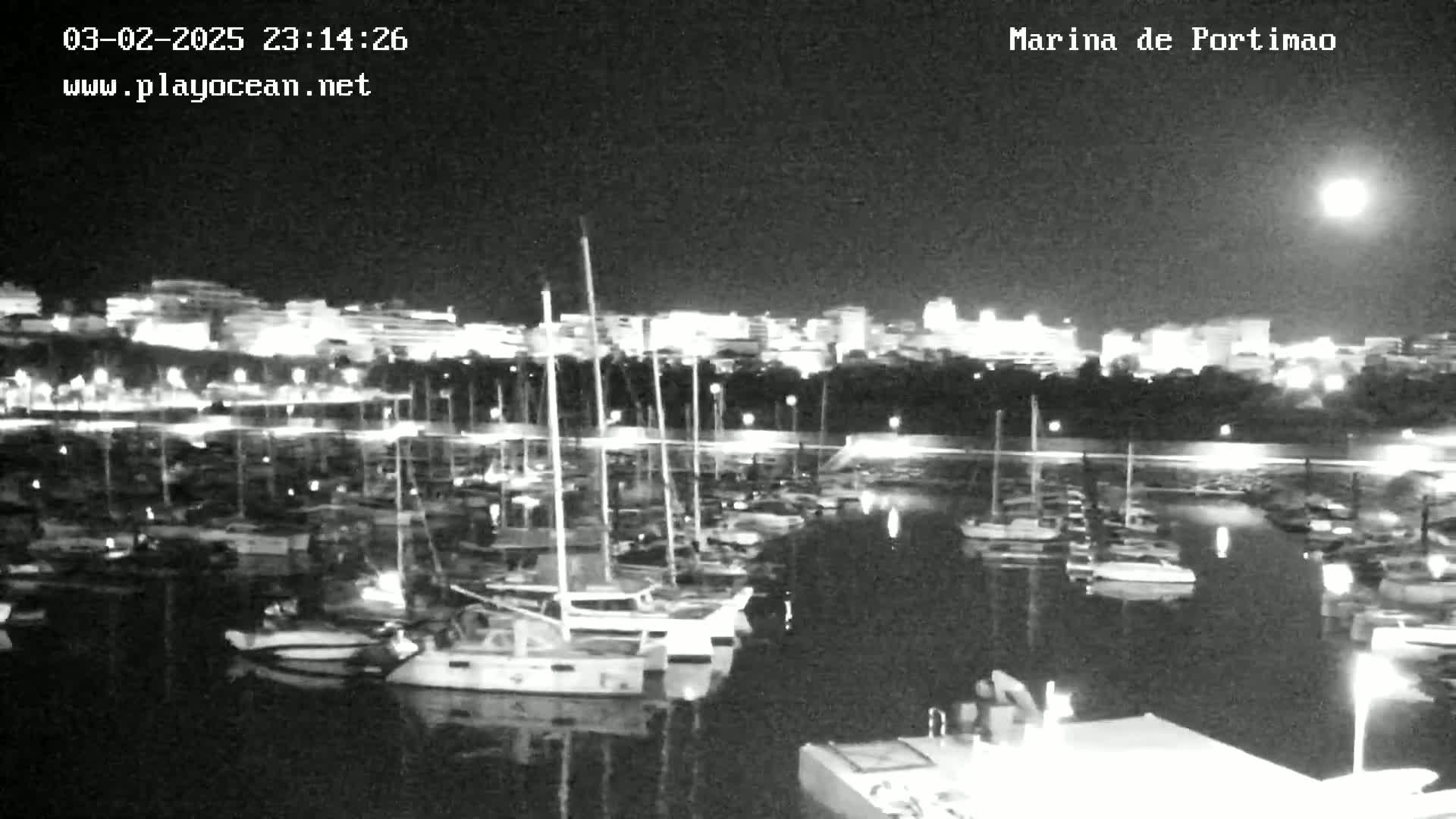 A nighttime view of a marina filled with boats, with a brightly lit city skyline in the background under a clear moonlit sky.