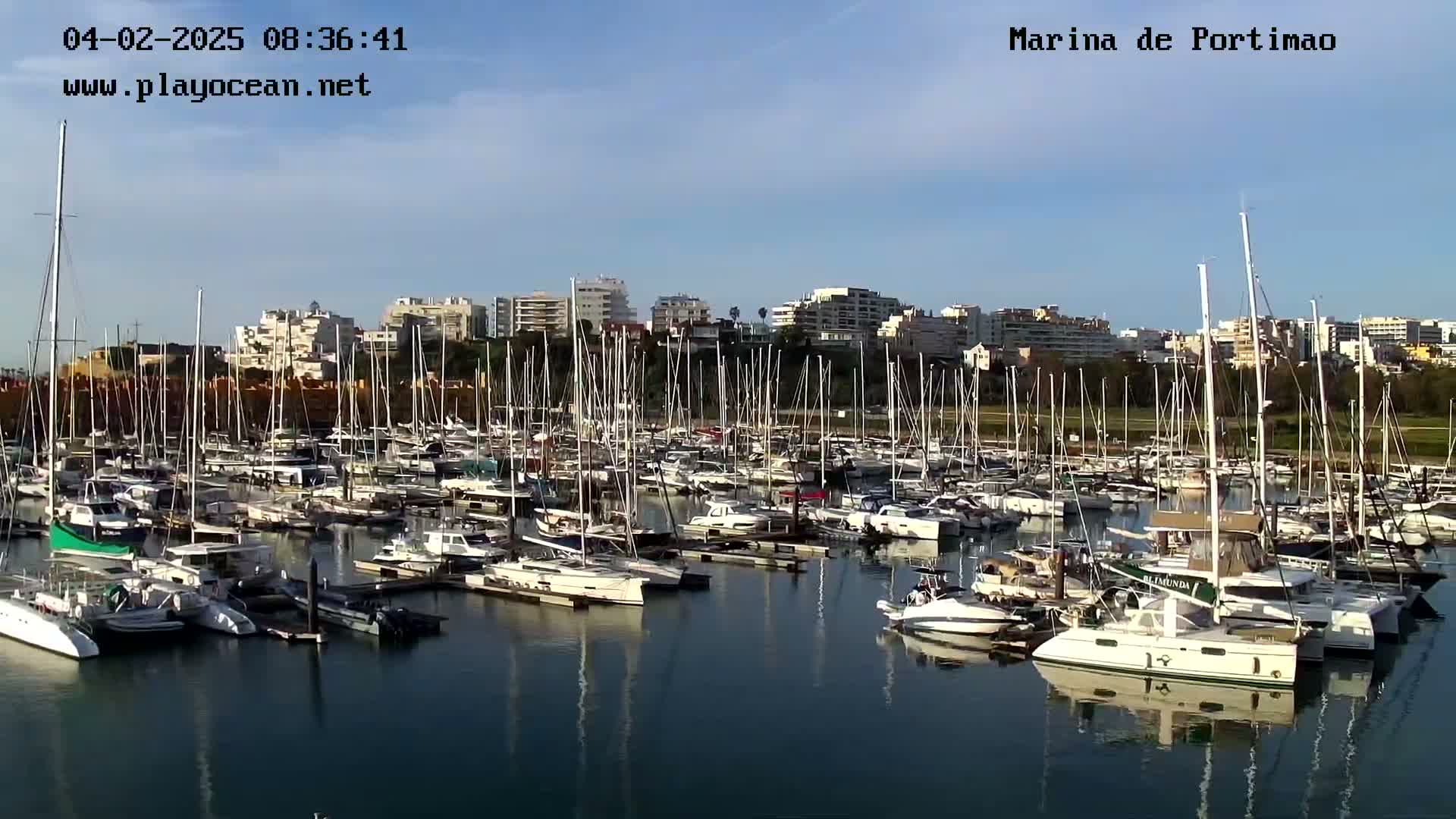 A marina filled with numerous sailboats and motorboats is situated next to a waterfront city under a clear, sunny sky.