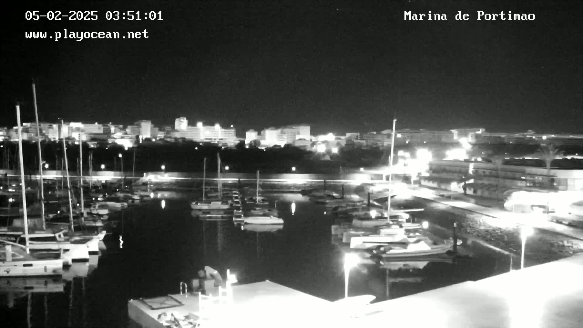 A nighttime view of a marina filled with boats, with a city skyline illuminated in the background under a clear, dark sky.