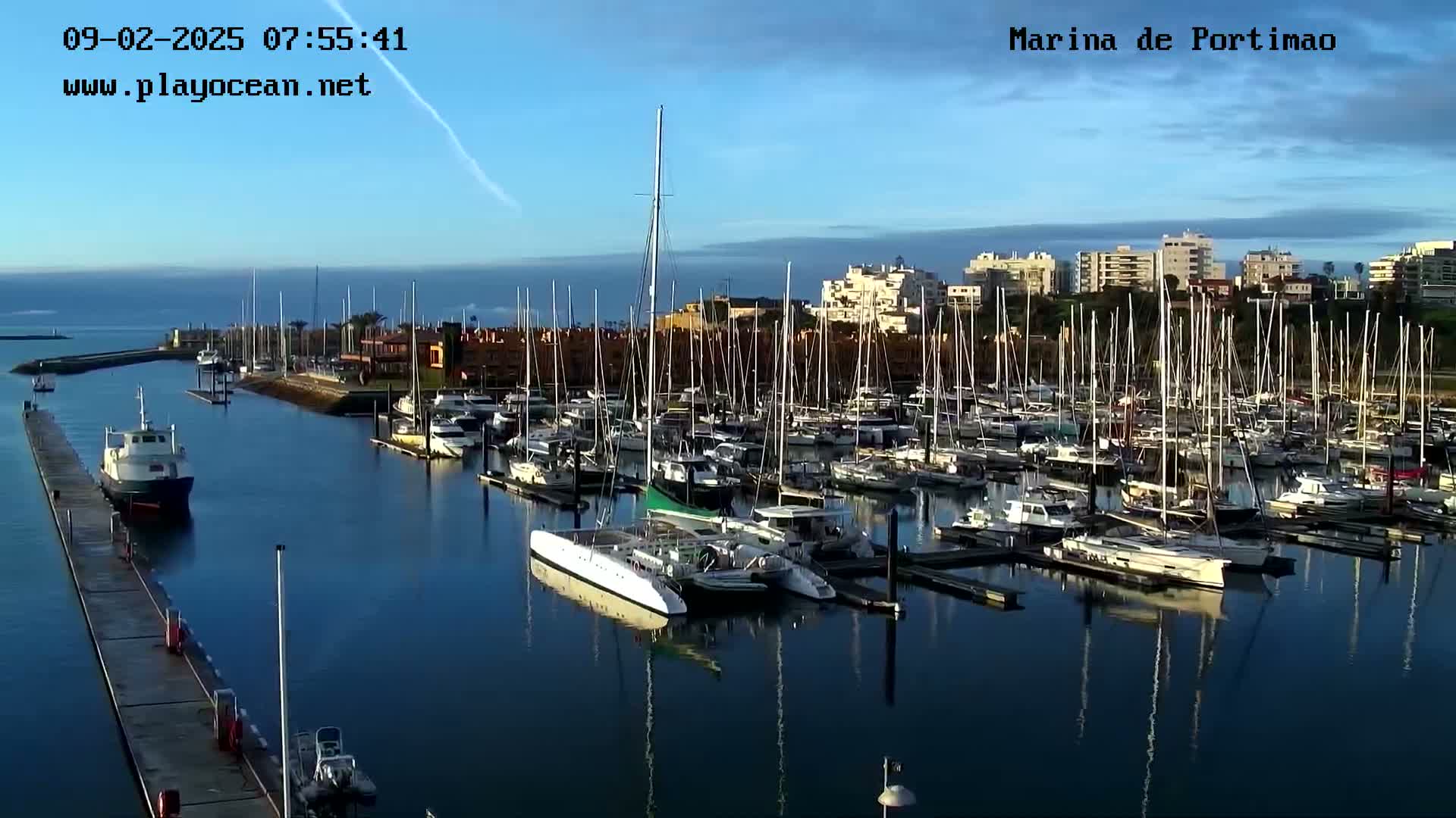 A marina filled with numerous sailboats and motorboats is seen on a calm, clear day.