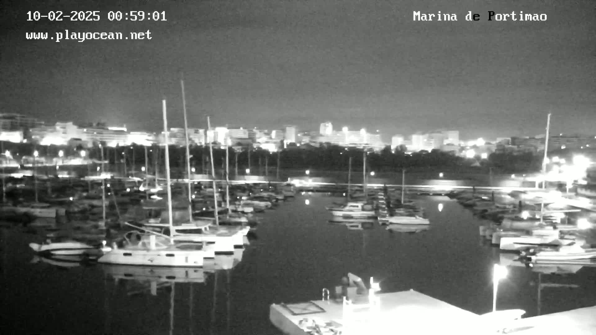 A nighttime view of a marina filled with boats, with a city skyline visible in the background under a clear, dark sky.