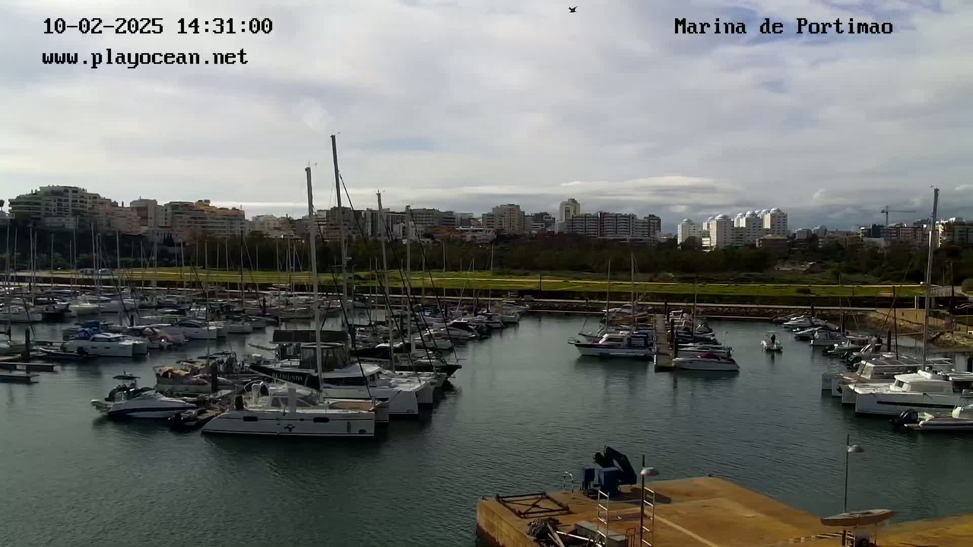 A marina filled with numerous sailboats and motorboats is situated in front of a city skyline under a mostly cloudy sky.