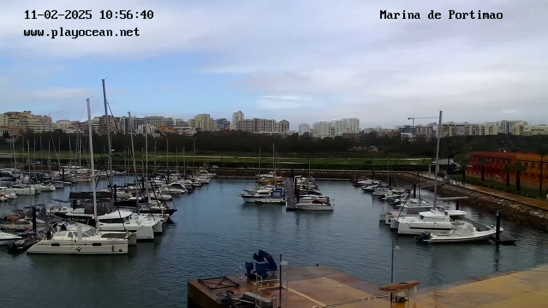 A marina filled with numerous sailboats and motorboats is seen under a cloudy sky, with a city skyline visible in the background.