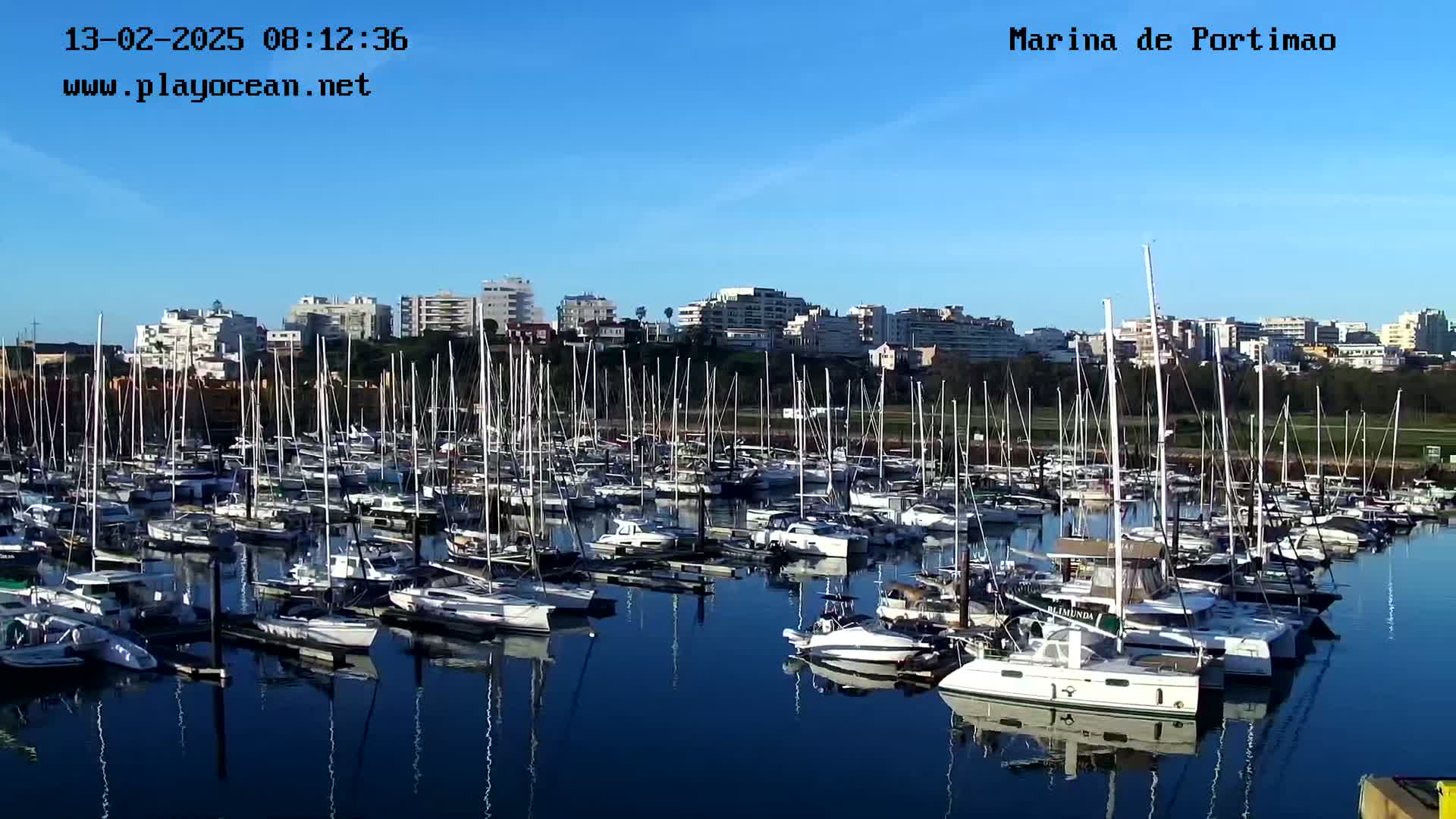 A marina filled with numerous sailboats and motorboats is situated in front of a city skyline under a clear blue sky.