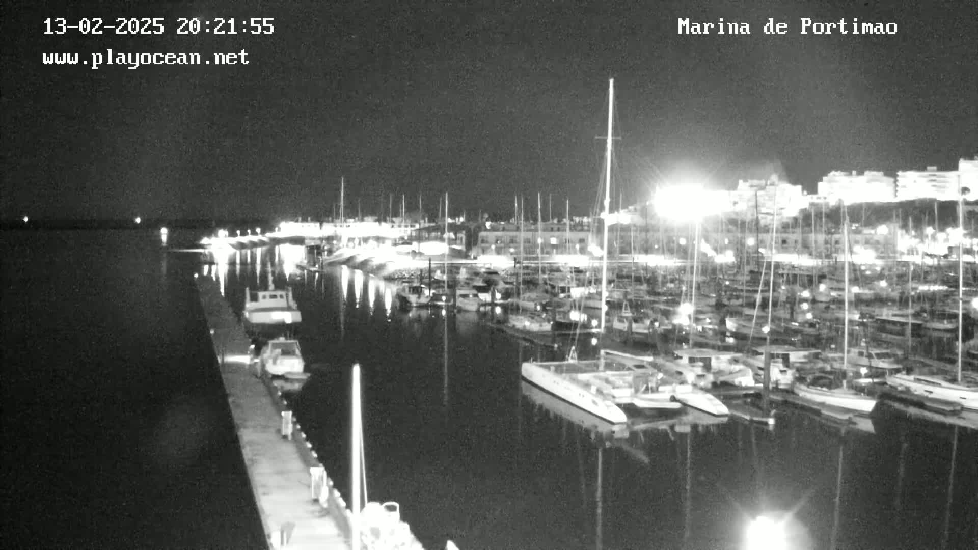 A nighttime view of a marina filled with numerous boats and yachts, under a clear sky.