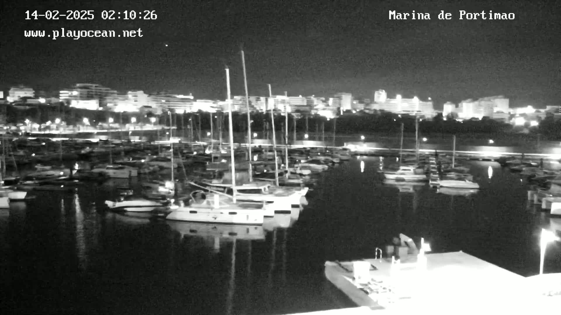 A nighttime, low-light view of a marina filled with numerous boats docked, with a city skyline illuminated in the background.