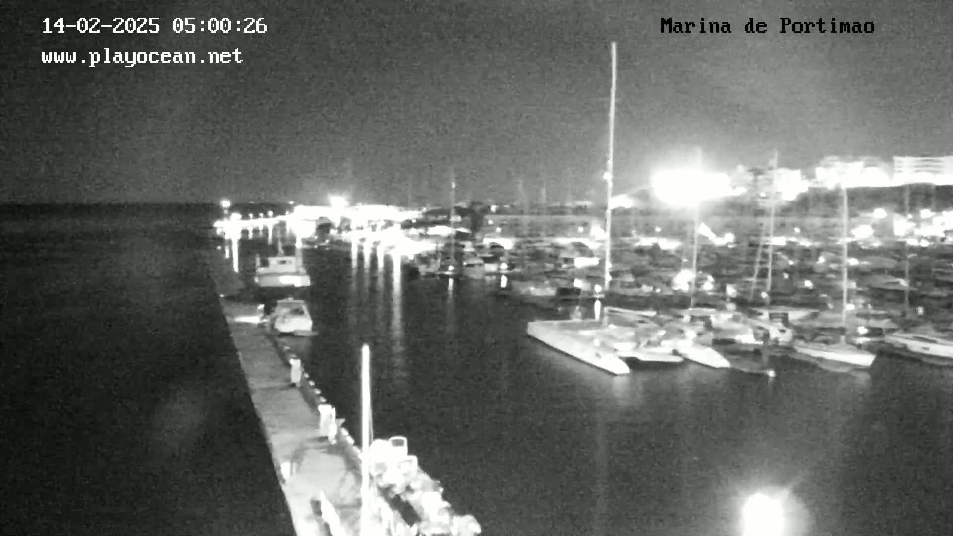 A nighttime, black-and-white view of a marina filled with docked boats under a clear sky.