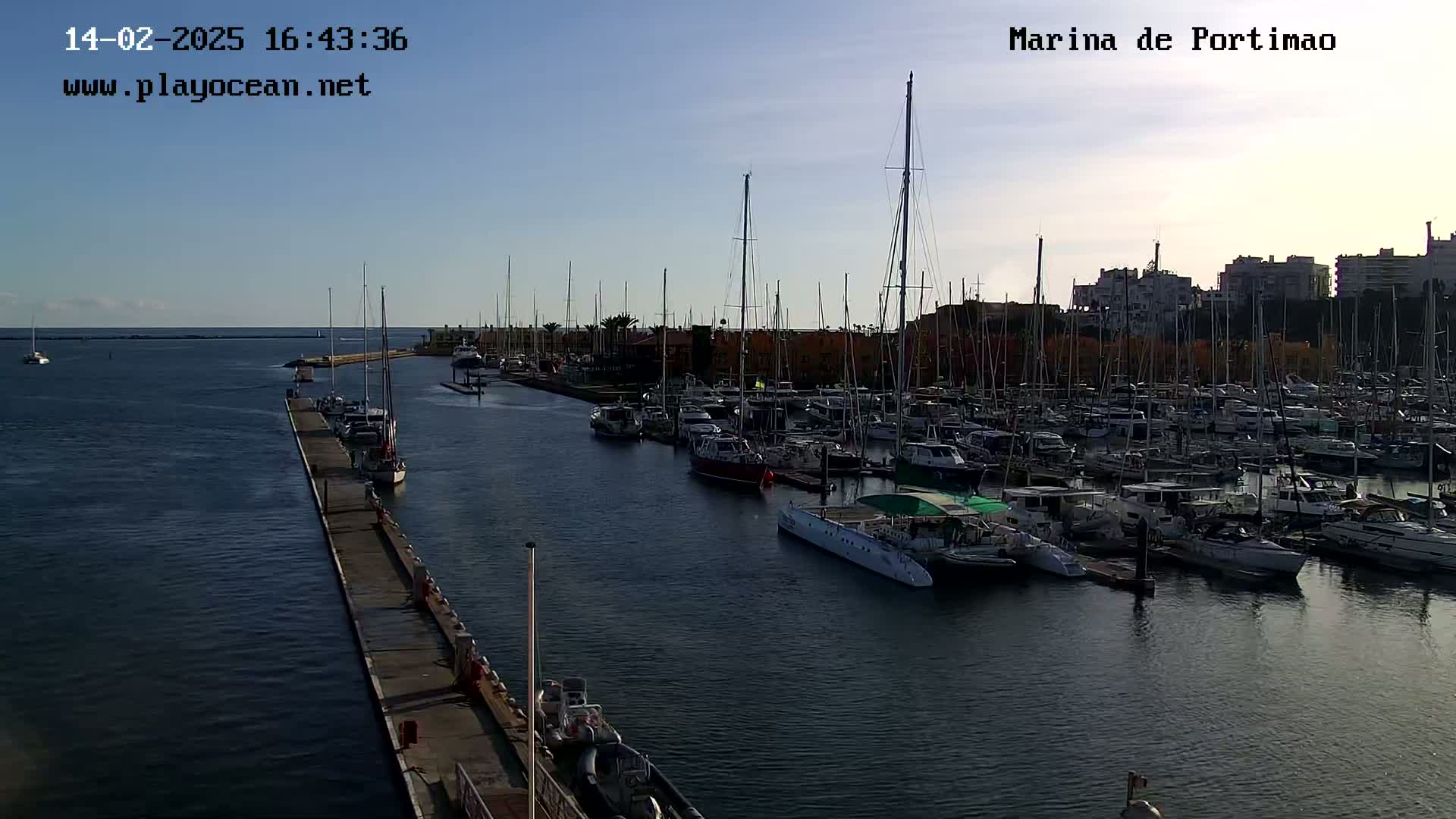 A marina filled with numerous sailboats and motorboats under a clear, bright sky.