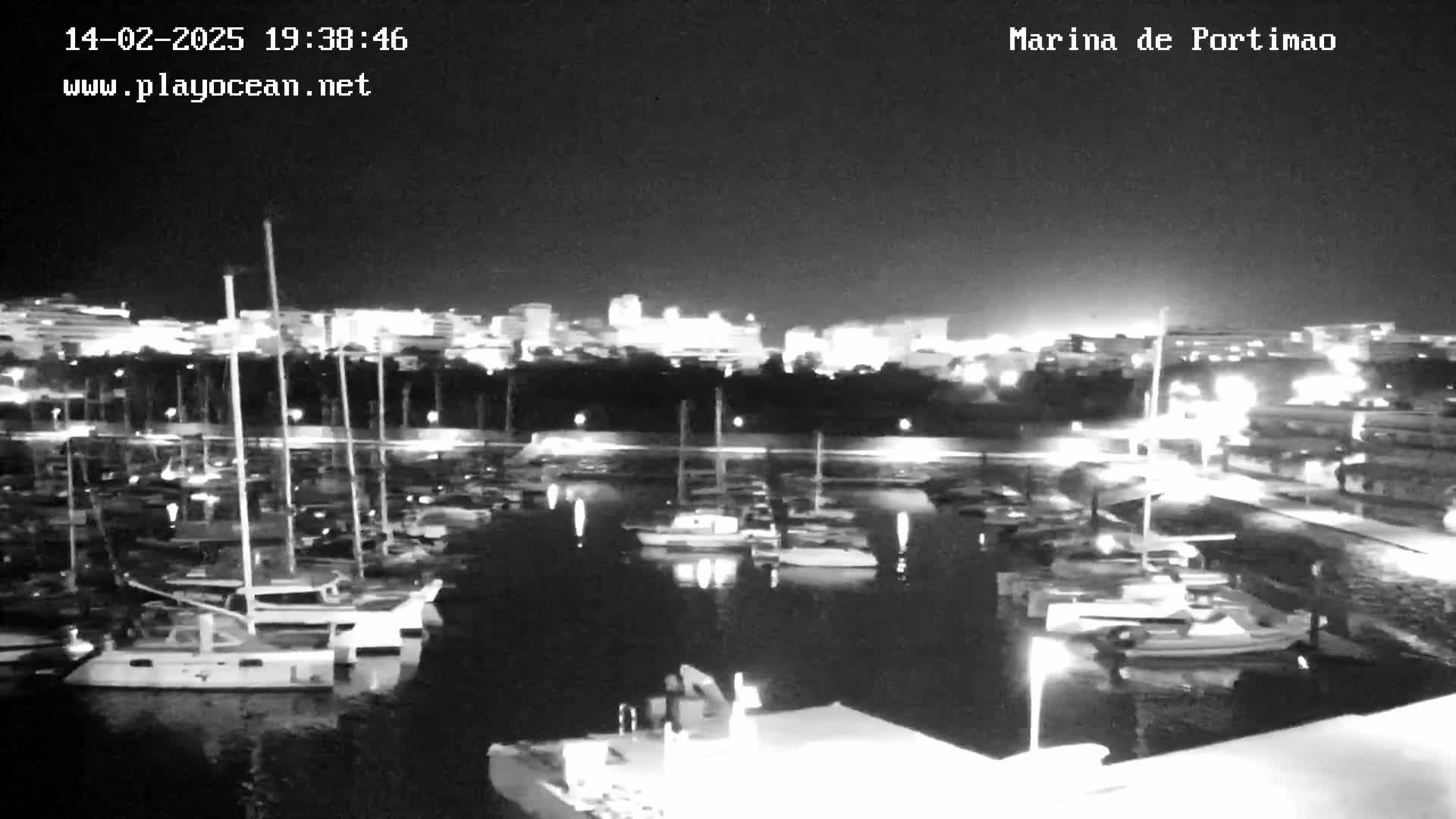 A nighttime view of a marina filled with docked sailboats, with a city skyline illuminated in the background under a clear sky.