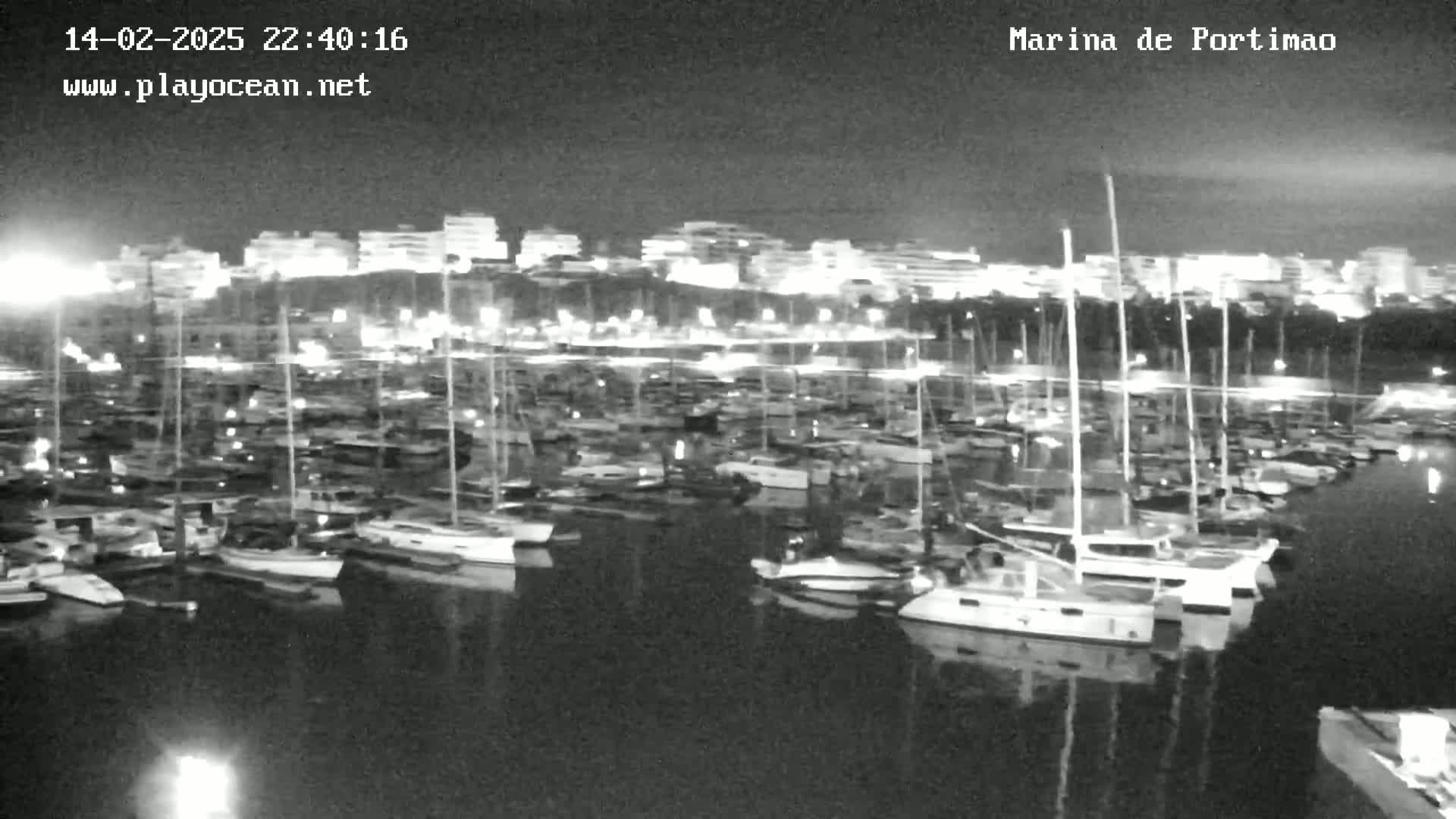 A nighttime, black and white image shows a marina filled with numerous boats docked, with a city skyline illuminated in the background.