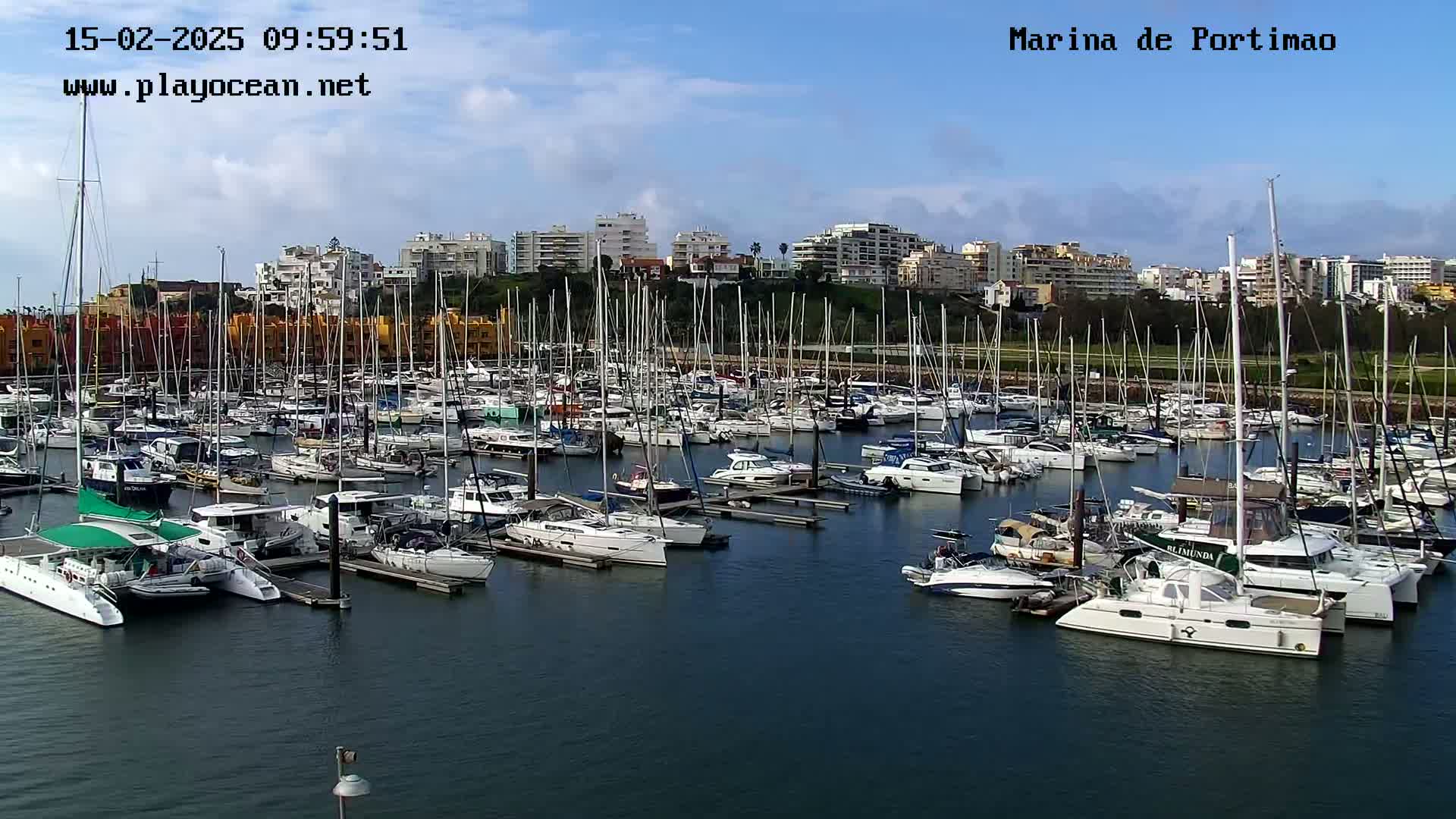 A marina filled with numerous sailboats and motorboats is situated next to a waterfront city under a mostly sunny sky.