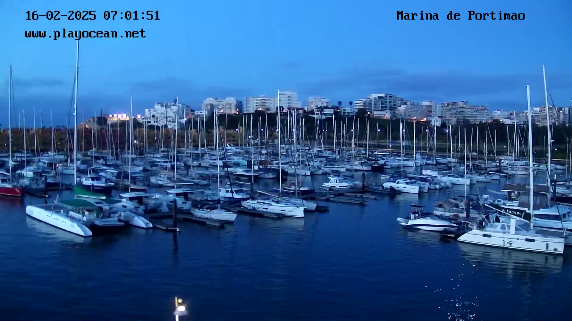Many sailboats and motorboats are moored in a marina at twilight under a clear, dark blue sky.