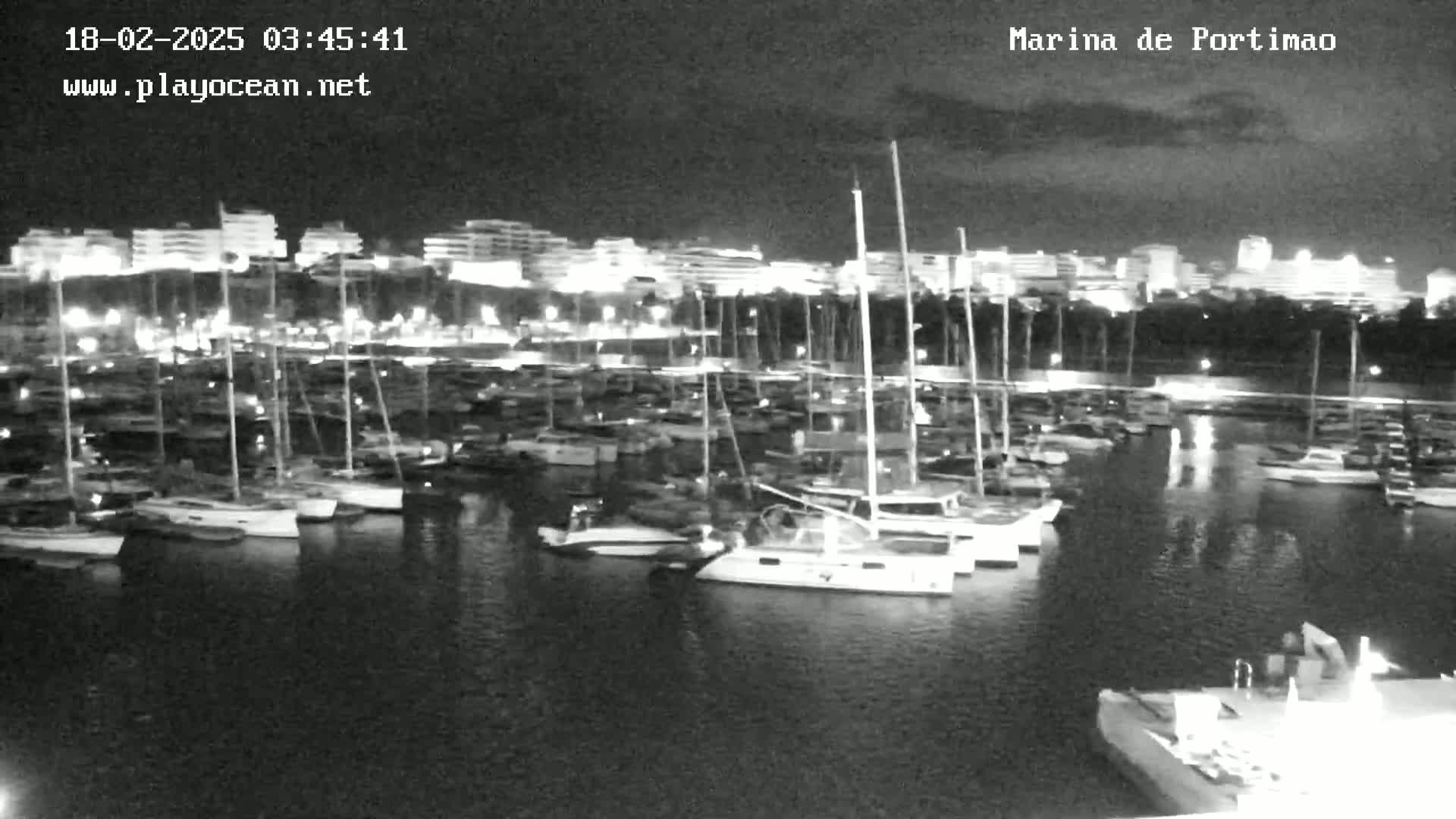 A nighttime view of a marina filled with numerous boats docked alongside a city's illuminated waterfront.
