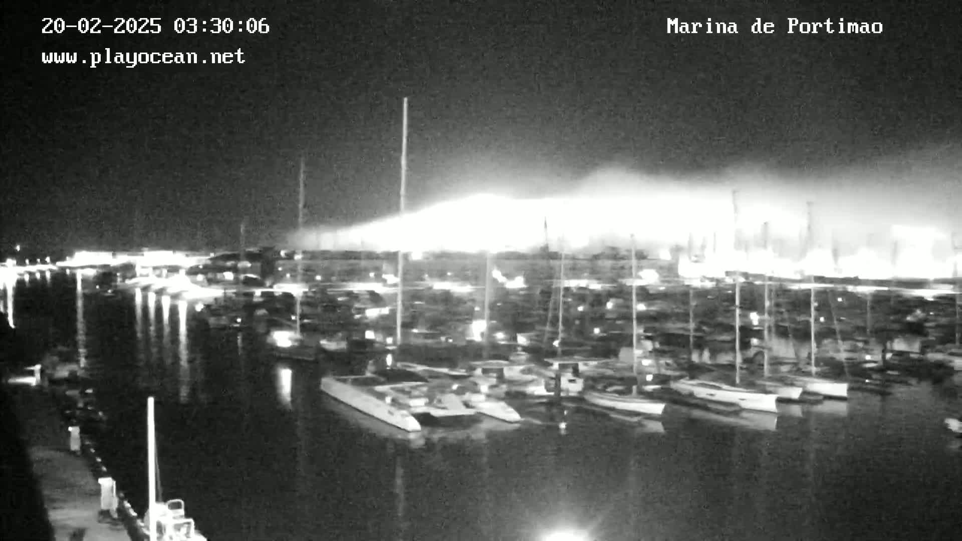 A nighttime, foggy view of a marina filled with numerous boats and yachts.