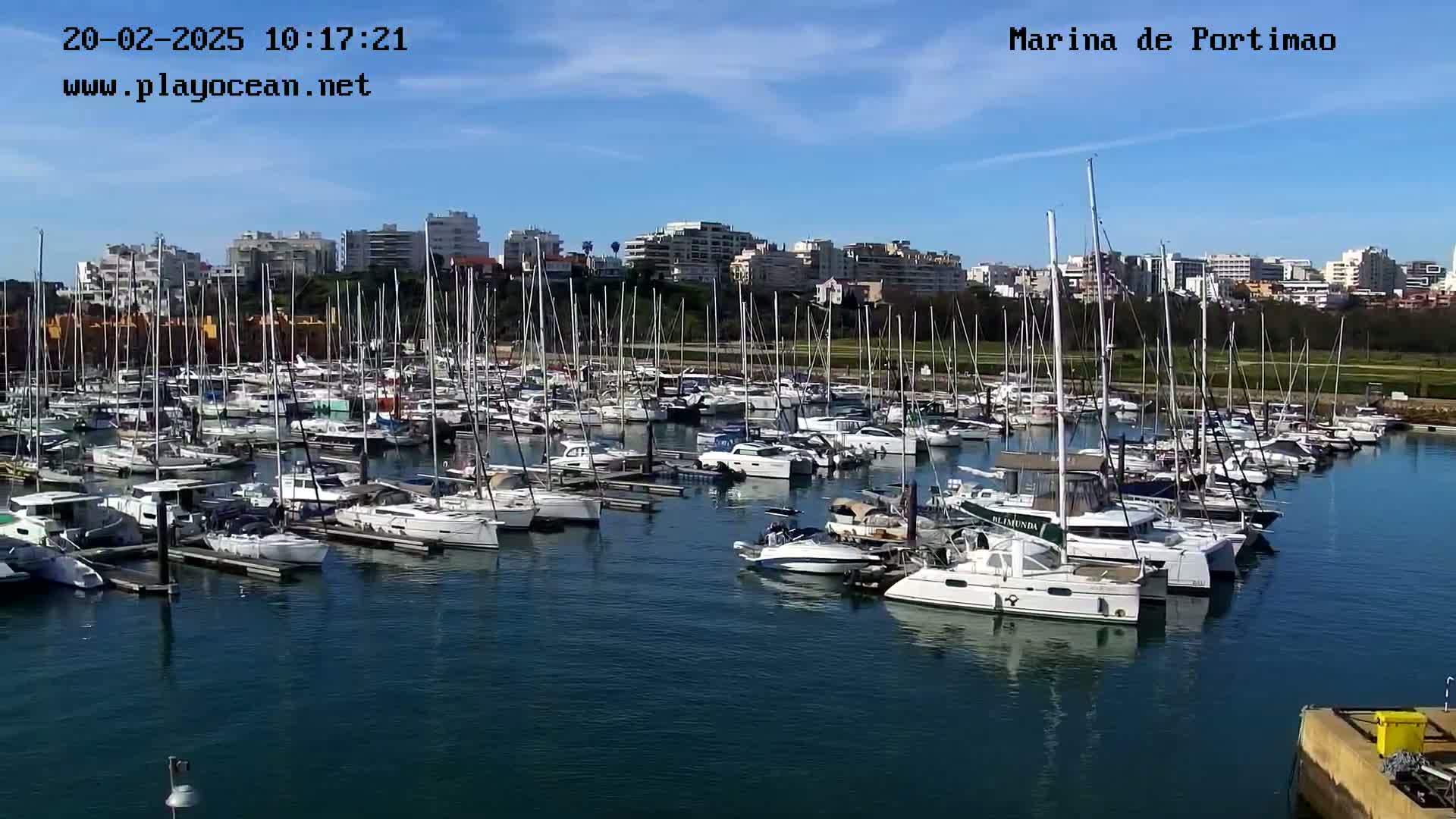 A marina filled with numerous sailboats and motorboats is situated in front of a city skyline under a clear blue sky.