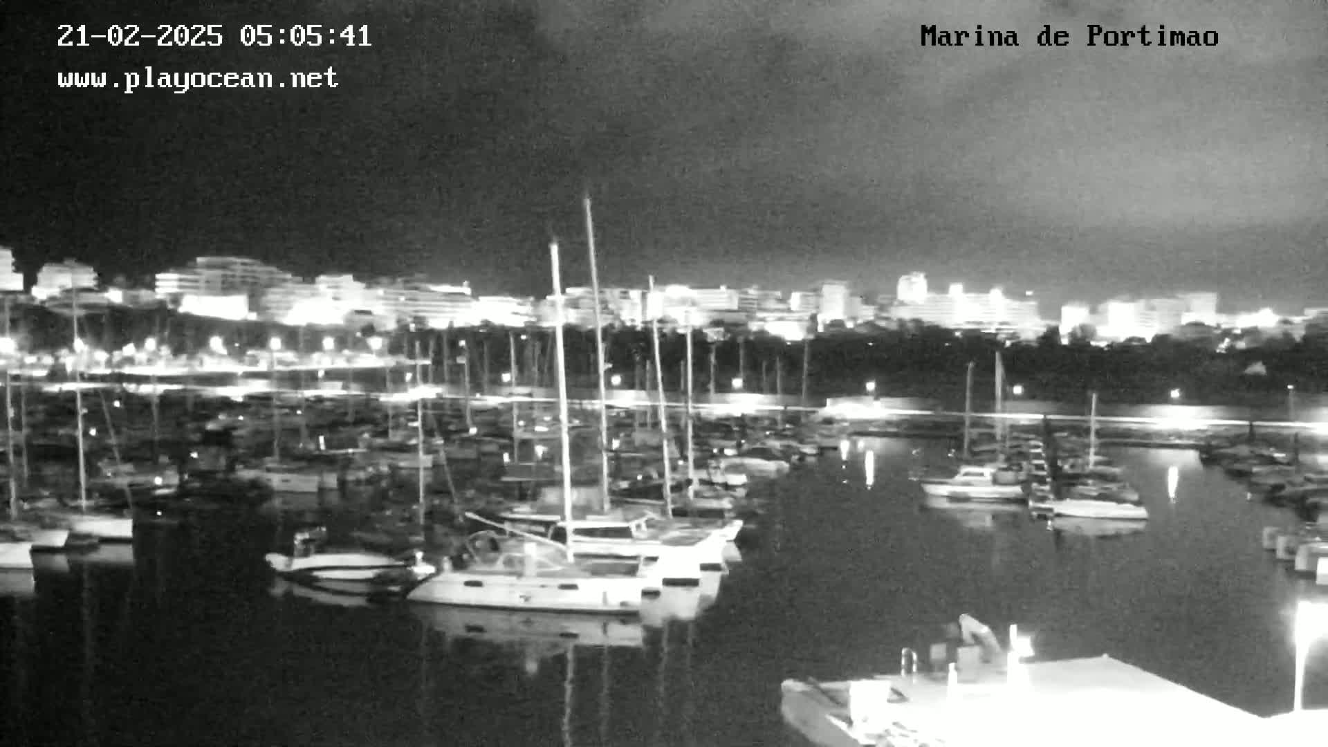 A nighttime, black and white view of a marina filled with sailboats, with a city skyline illuminated in the background.