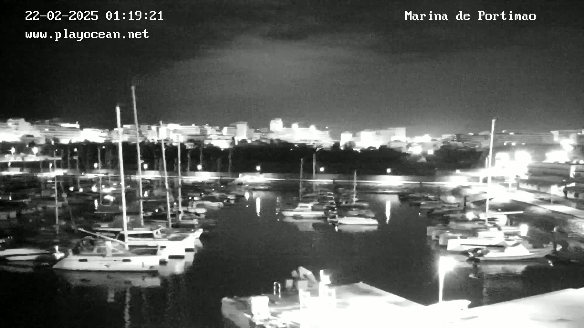 A nighttime, black and white view of a marina filled with docked sailboats, with a city skyline illuminated in the background.