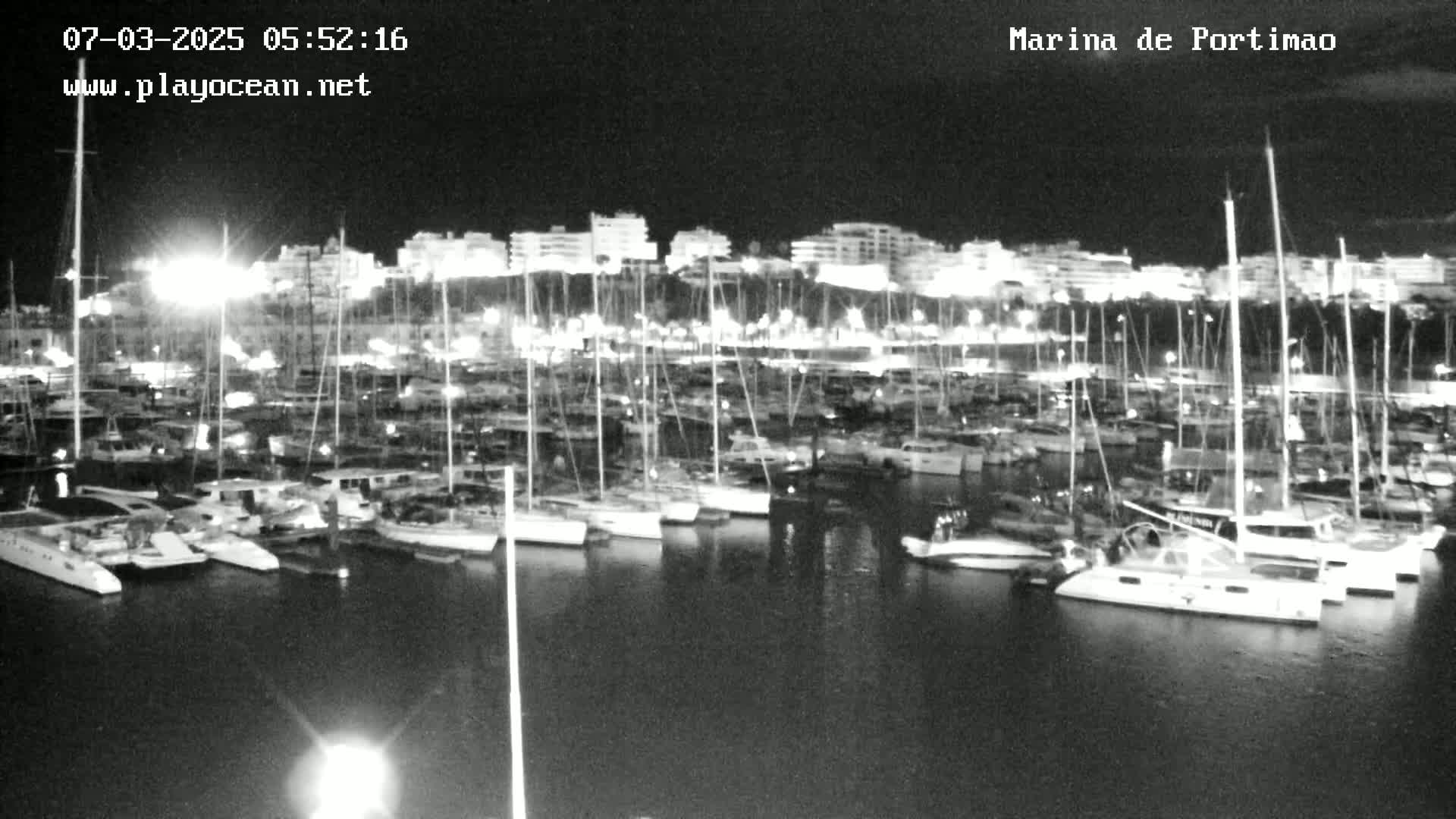 A nighttime, black and white view of a marina filled with numerous boats docked under a clear sky.