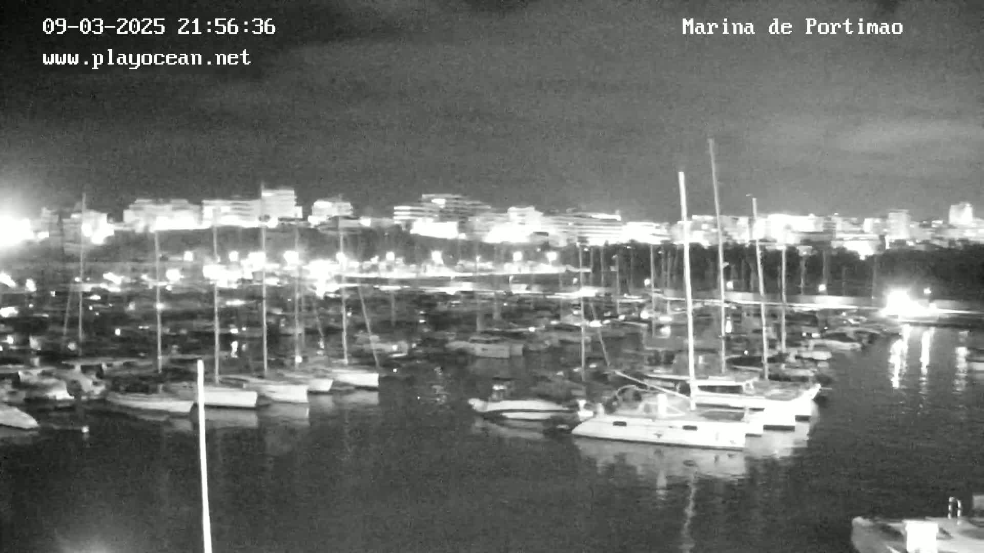 A nighttime, low-light view of a marina filled with numerous boats and yachts, with a city skyline illuminated in the background.