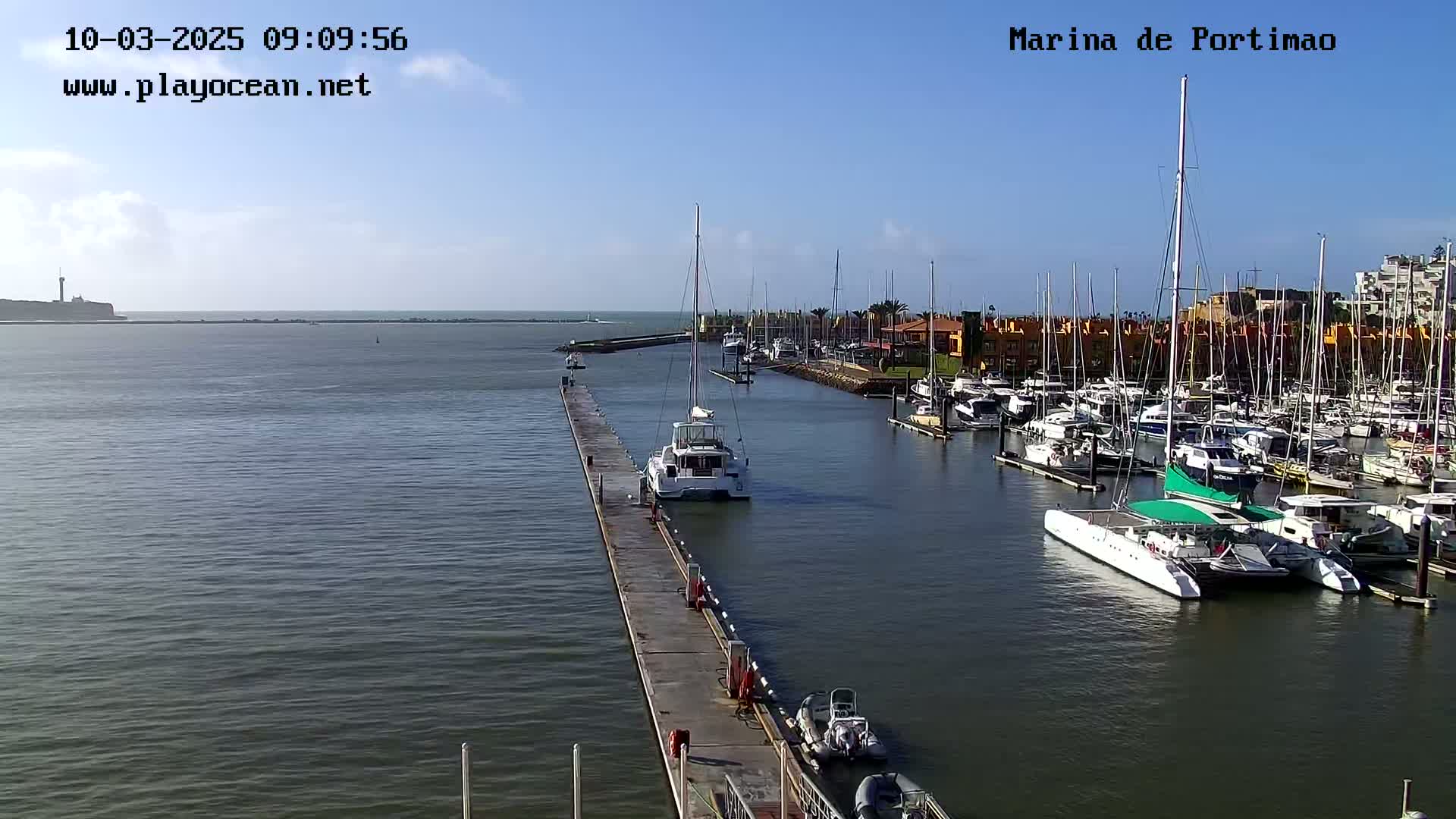 A marina filled with numerous boats and yachts on a calm, sunny day, with a distant coastline visible across the water.