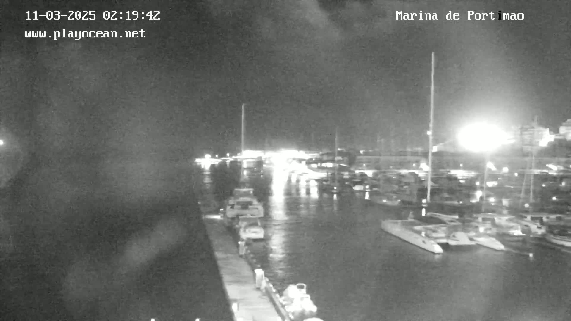 A nighttime, wet view of a marina filled with boats and cars under dim lighting.