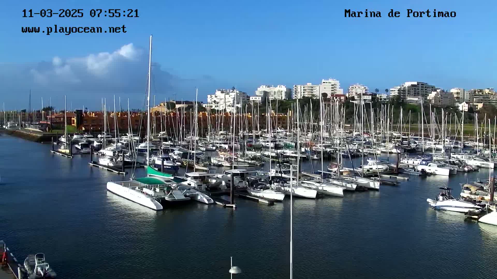 A marina filled with numerous sailboats and motorboats on a calm, sunny day.