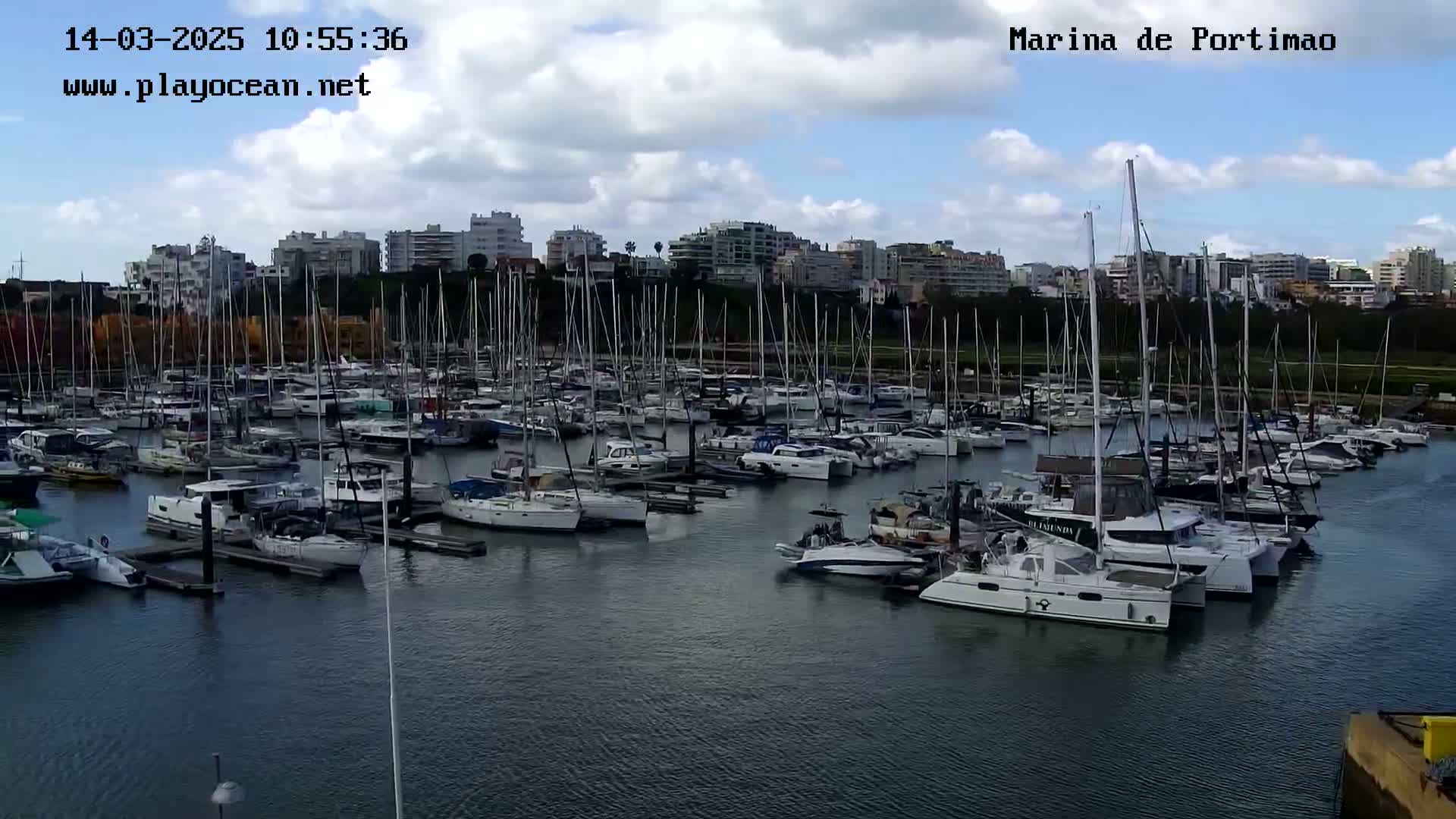 A marina filled with numerous sailboats and motorboats is situated in front of a city skyline under a partly cloudy sky.