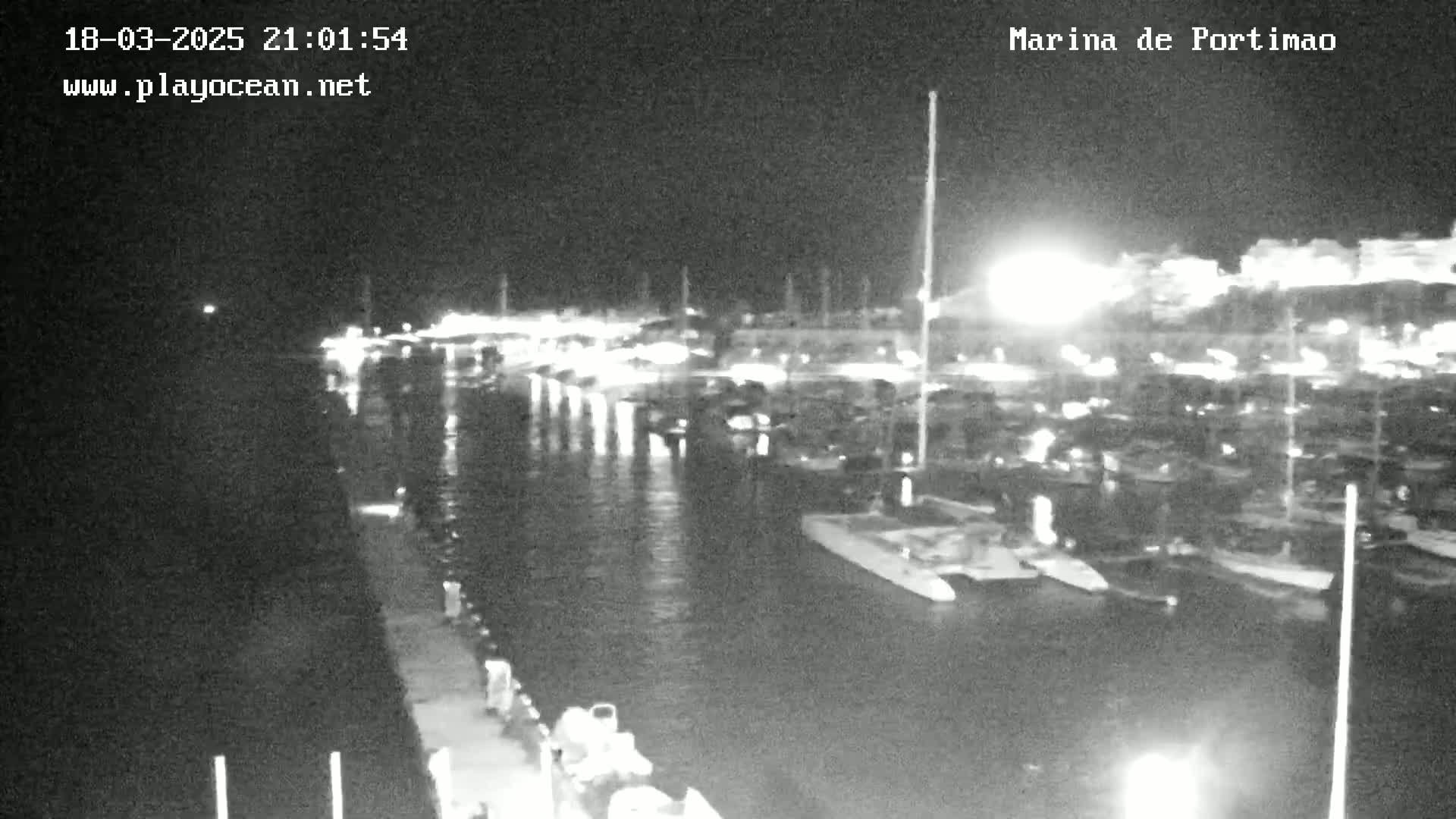A nighttime, black-and-white view of a marina filled with boats, with lights visible from buildings on the shore.