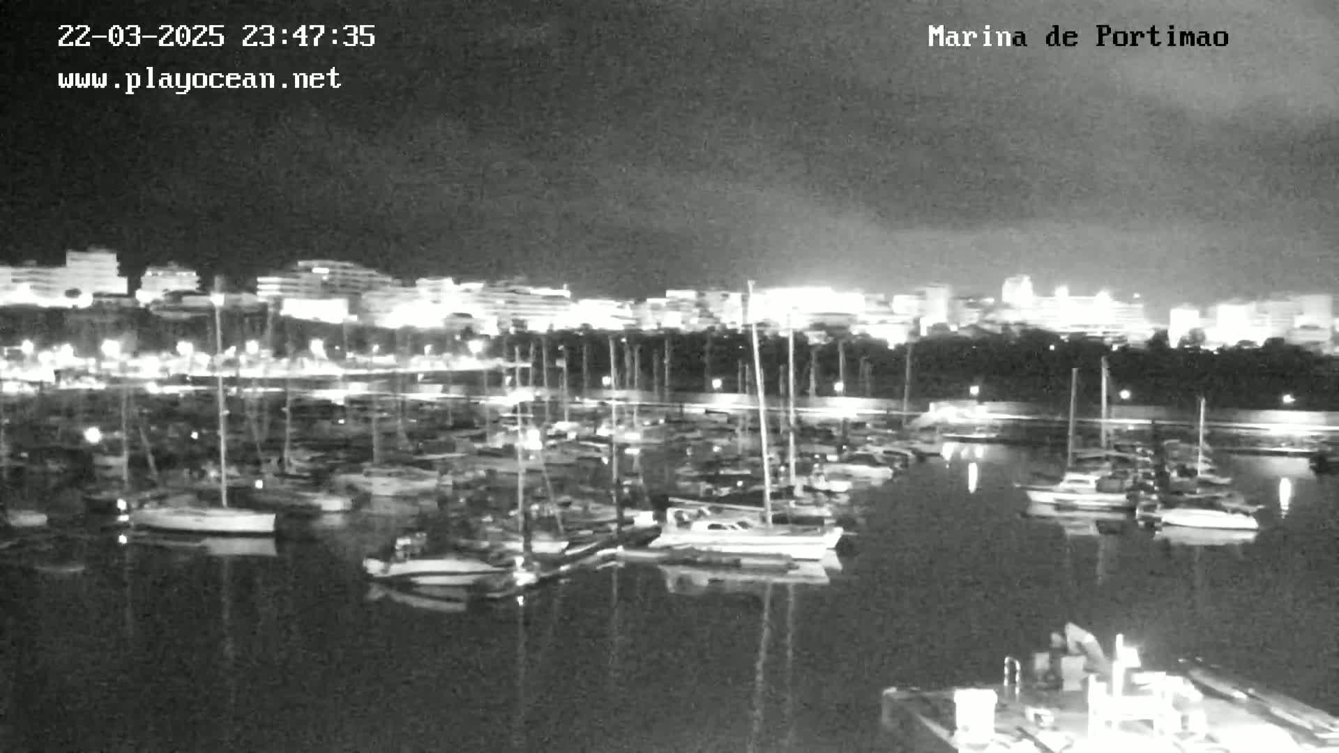 A nighttime, black-and-white view of a marina filled with numerous boats, with a city skyline illuminated in the background.