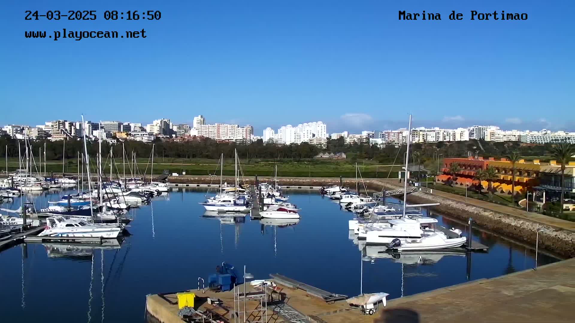 A marina filled with sailboats and motorboats is situated near a city under a clear blue sky.