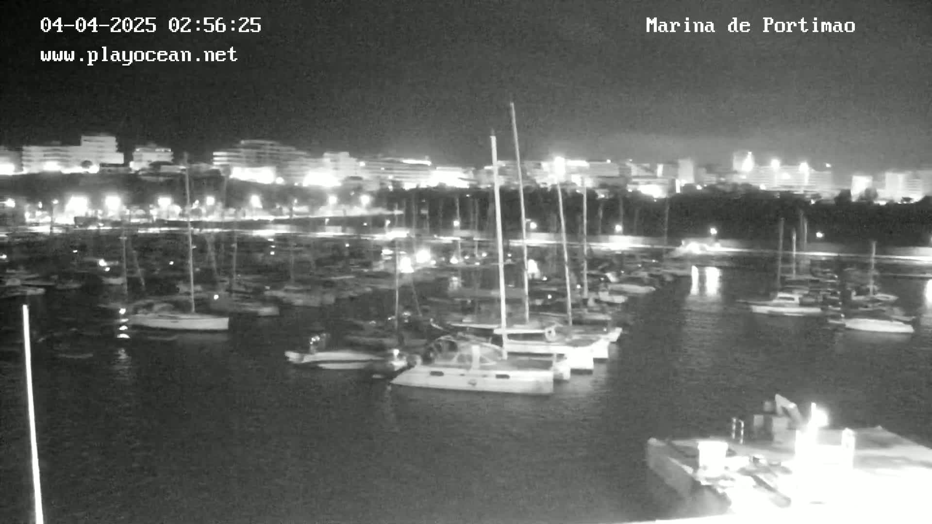A nighttime view of a marina filled with docked sailboats and motorboats, with a city skyline faintly visible in the background under a clear sky.