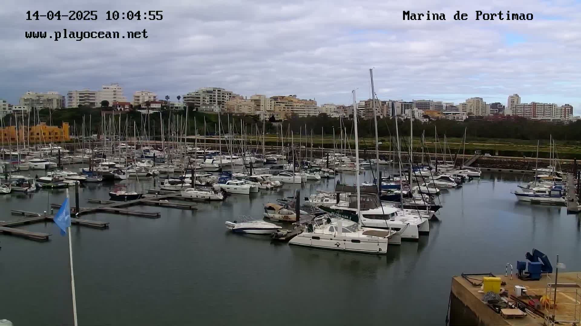 A marina filled with numerous sailboats and motorboats is situated in front of a city skyline under a cloudy sky.