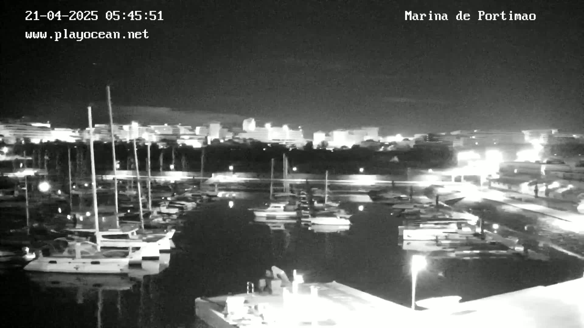 A nighttime, black and white view of a marina filled with boats, with a city skyline faintly visible in the background under a mostly clear sky.