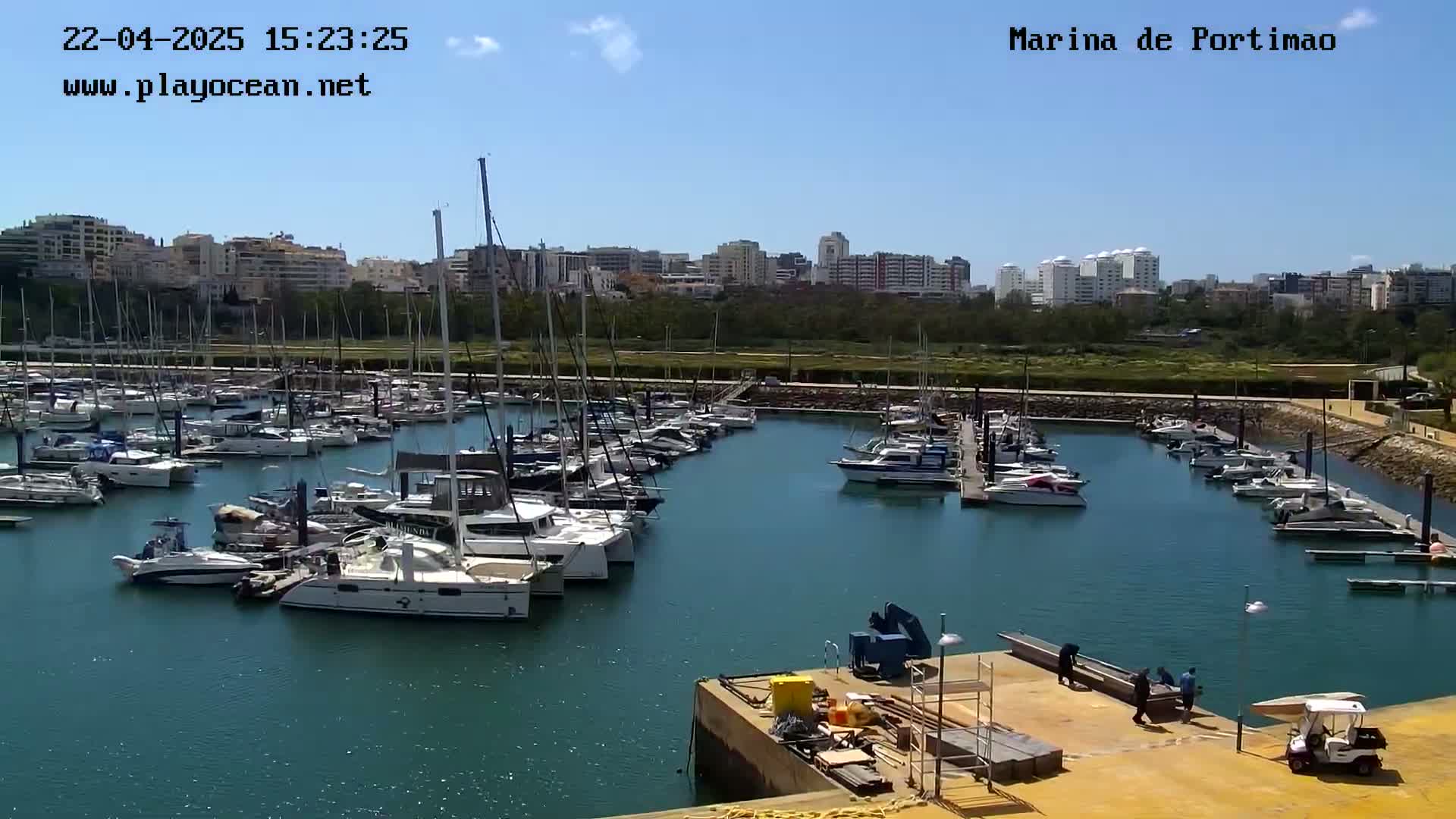 A marina filled with numerous yachts and sailboats is shown on a sunny day, with a city skyline in the background.
