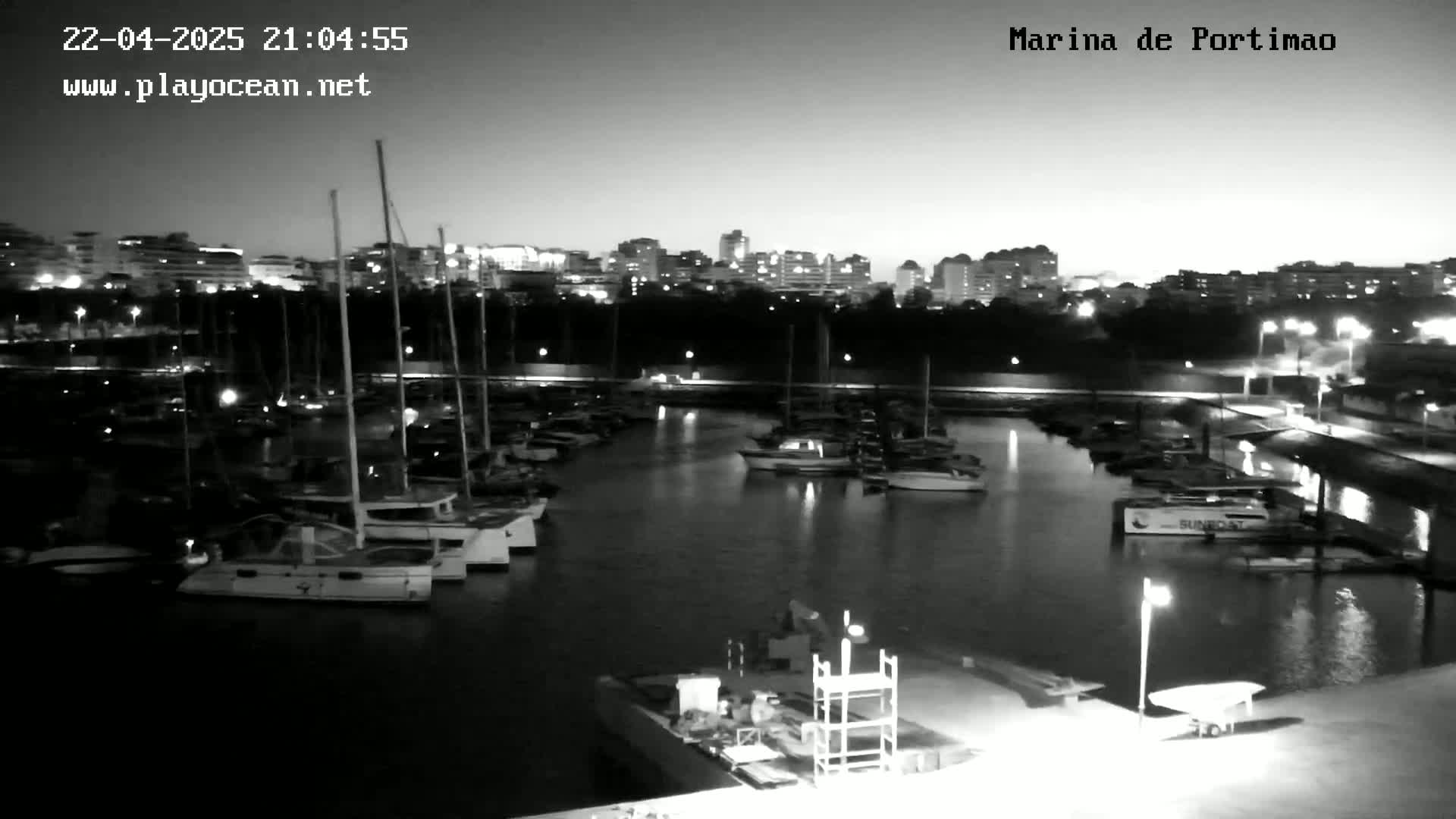 A nighttime, black and white view of a marina filled with boats, with a city skyline in the background under a clear sky.