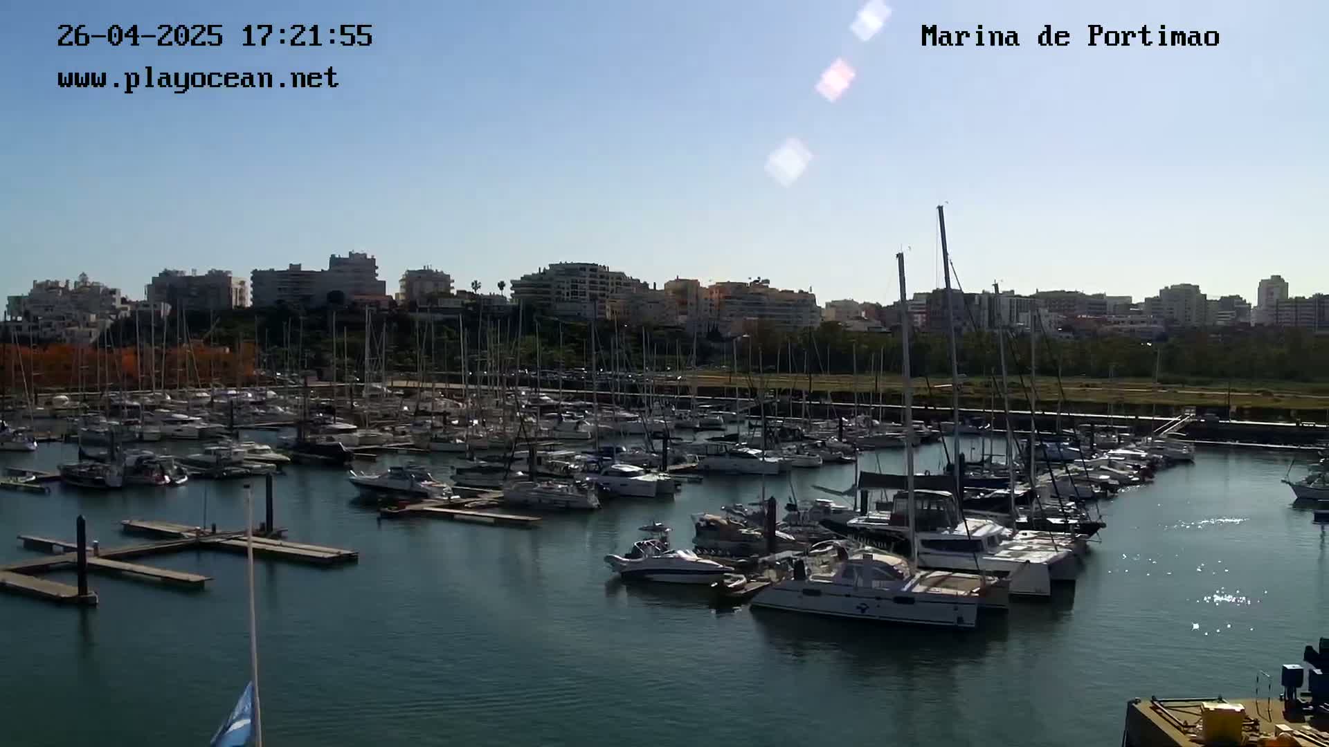 A marina filled with numerous sailboats and motorboats is situated in front of a city skyline under a clear, sunny sky.