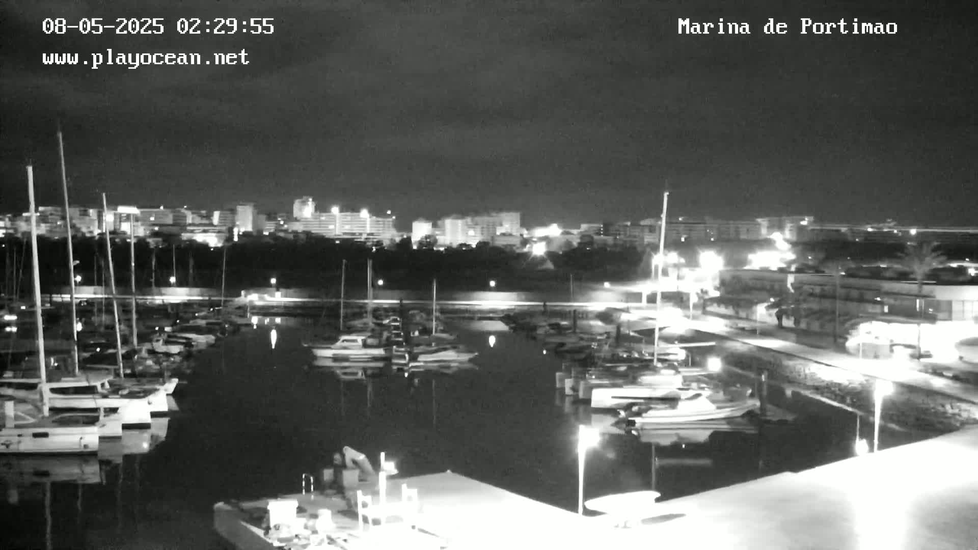A nighttime, black-and-white view of a marina filled with boats, with a city skyline in the background.