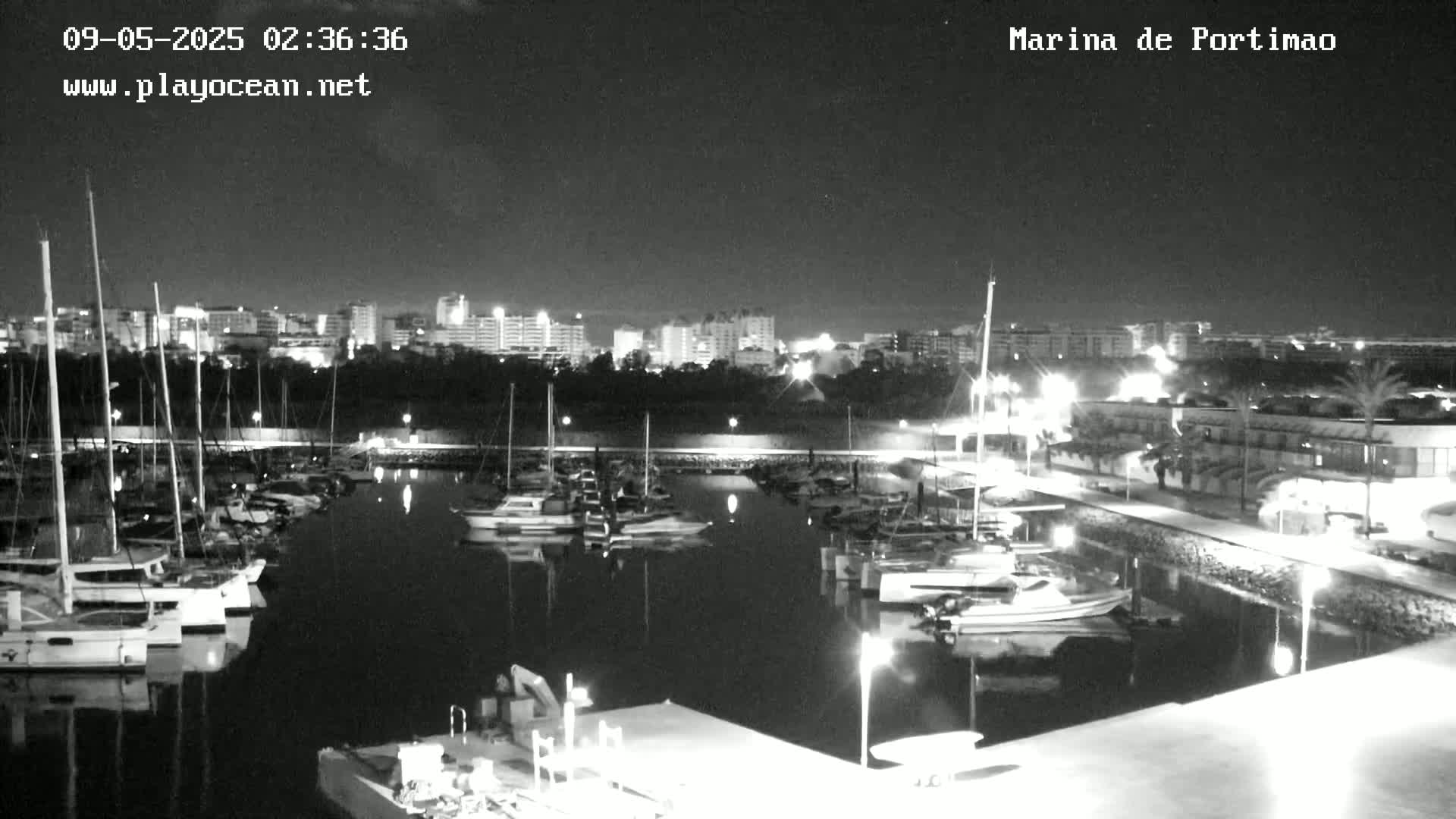 A nighttime, black-and-white view of a marina filled with sailboats, docked along a waterfront with buildings and lights visible in the background.