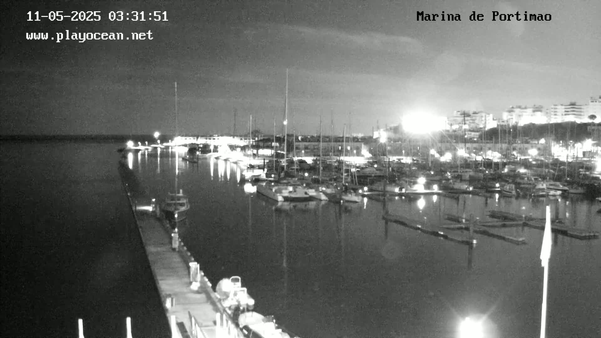 A nighttime, black and white view of a marina filled with boats, docked along a pier, under a mostly clear sky.