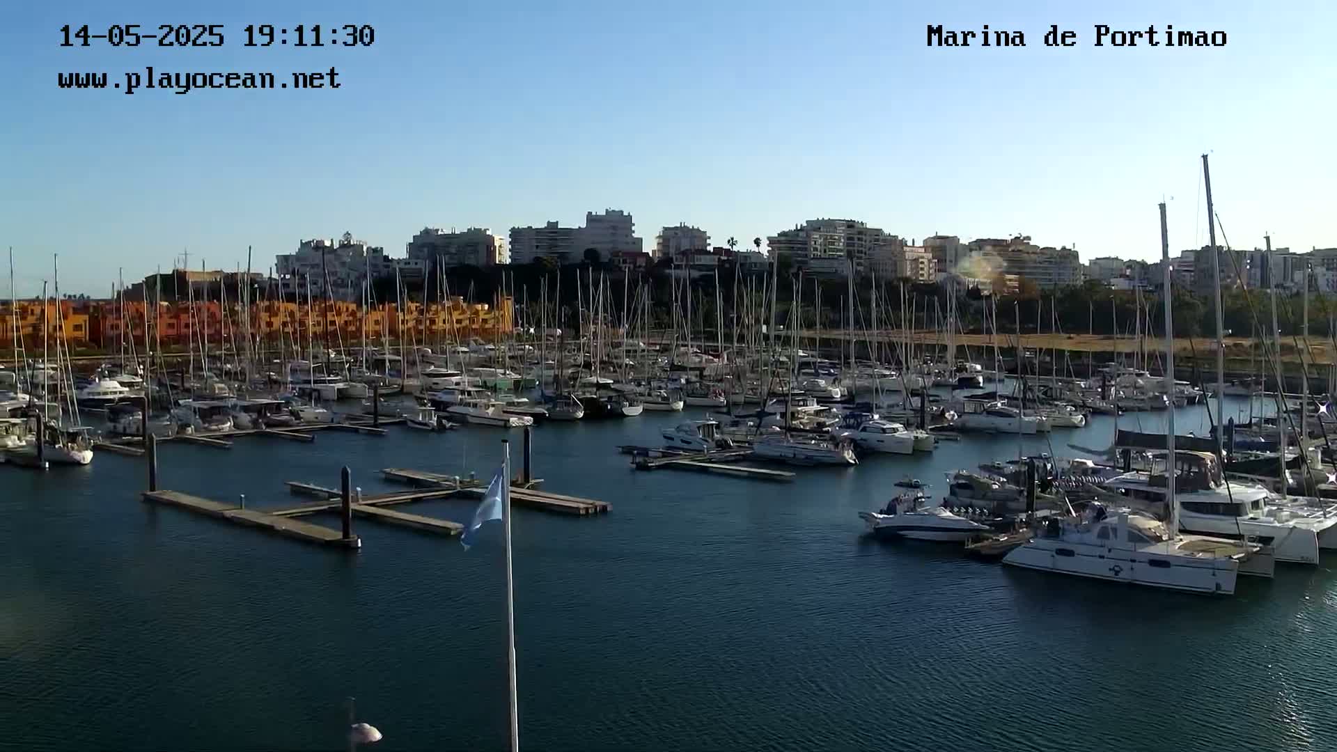 A marina filled with numerous sailboats and motorboats is seen on a calm, sunny day, with buildings and trees visible in the background.