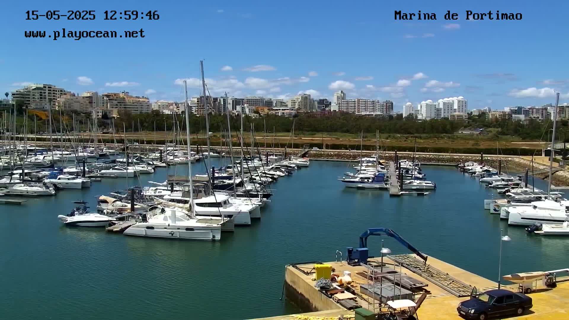 A marina filled with numerous sailboats and motorboats is situated under a mostly sunny sky, with a city skyline visible in the background.