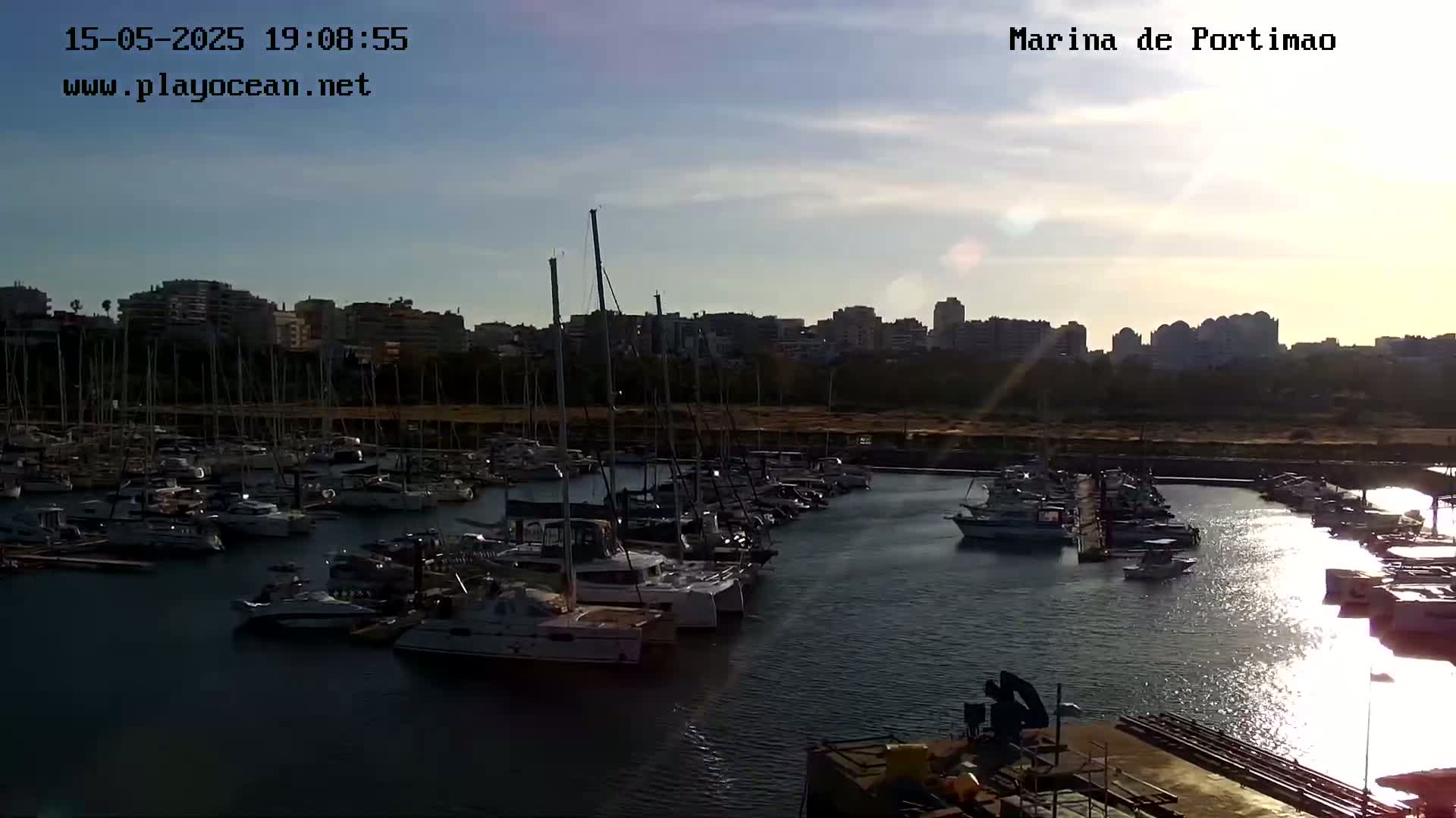 A marina filled with numerous sailboats and motorboats is situated near a city skyline under a partly cloudy, sunlit sky.