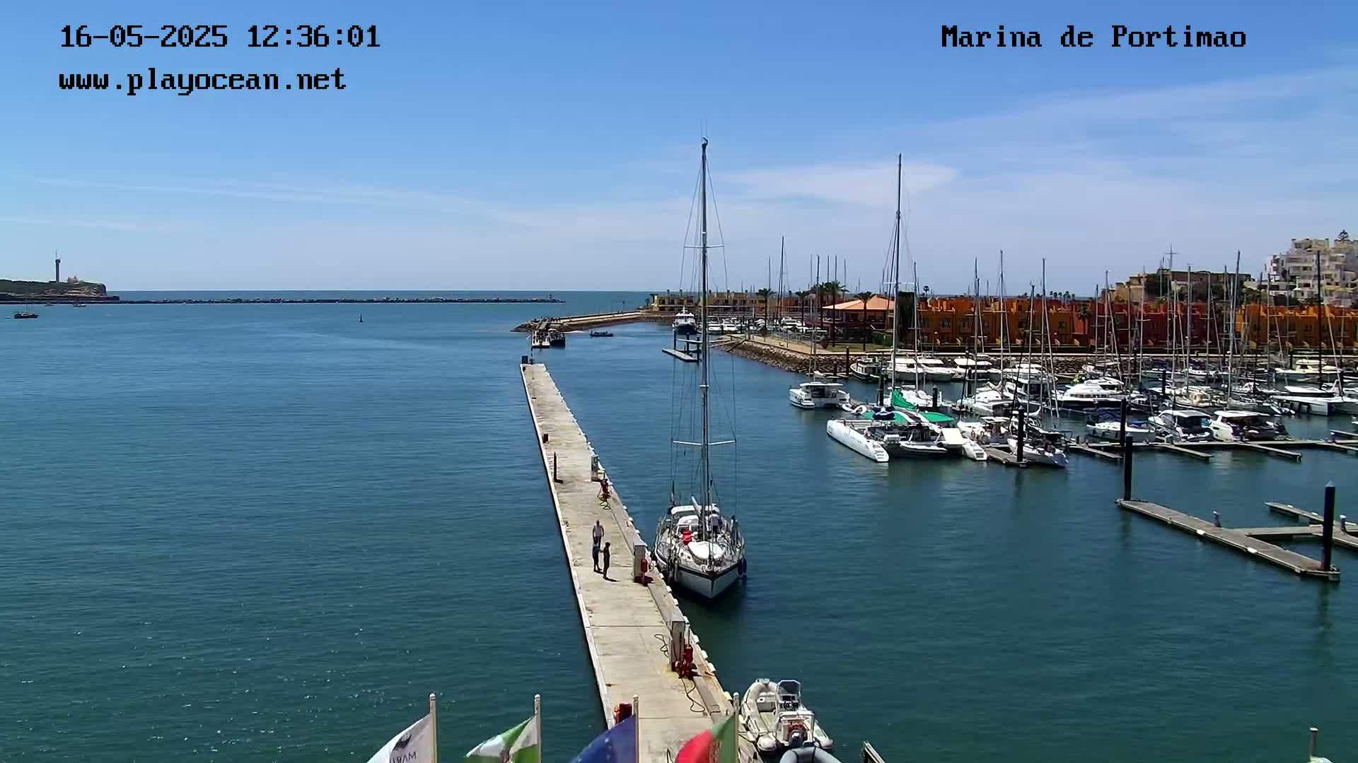 A marina filled with sailboats and yachts on a sunny day, with a long pier extending into the water.