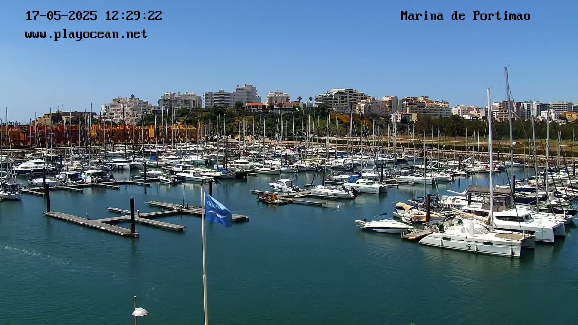 A marina filled with numerous sailboats and motorboats is situated near a city skyline under a clear blue sky.