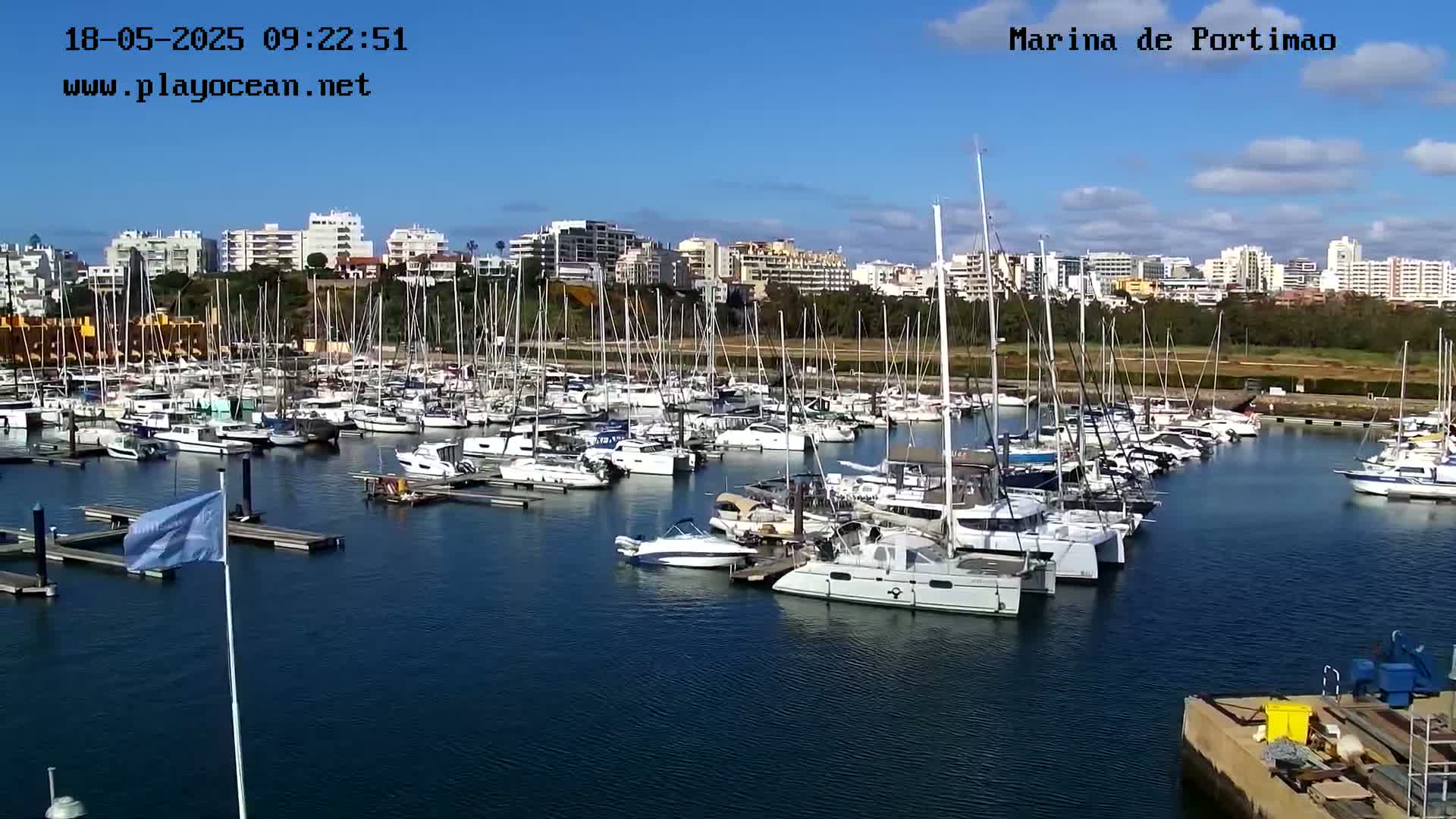 A marina filled with numerous sailboats and motorboats is situated near a city under a clear, sunny sky.