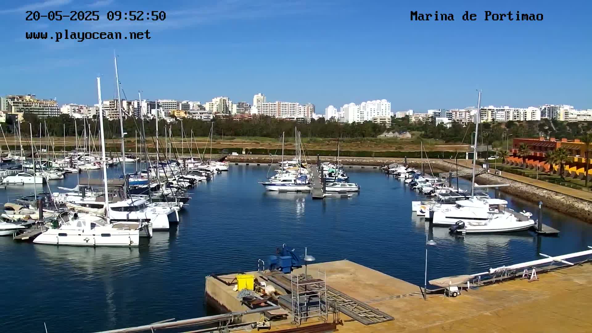 A marina filled with numerous sailboats and motorboats is situated near a waterfront city under a clear, sunny sky.