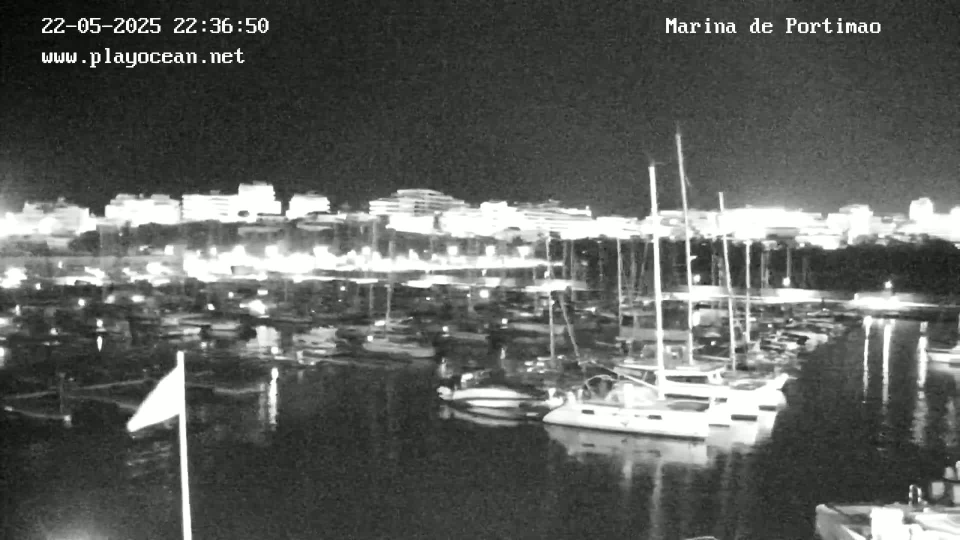 A nighttime view of a marina filled with boats, with a city skyline illuminated in the background.